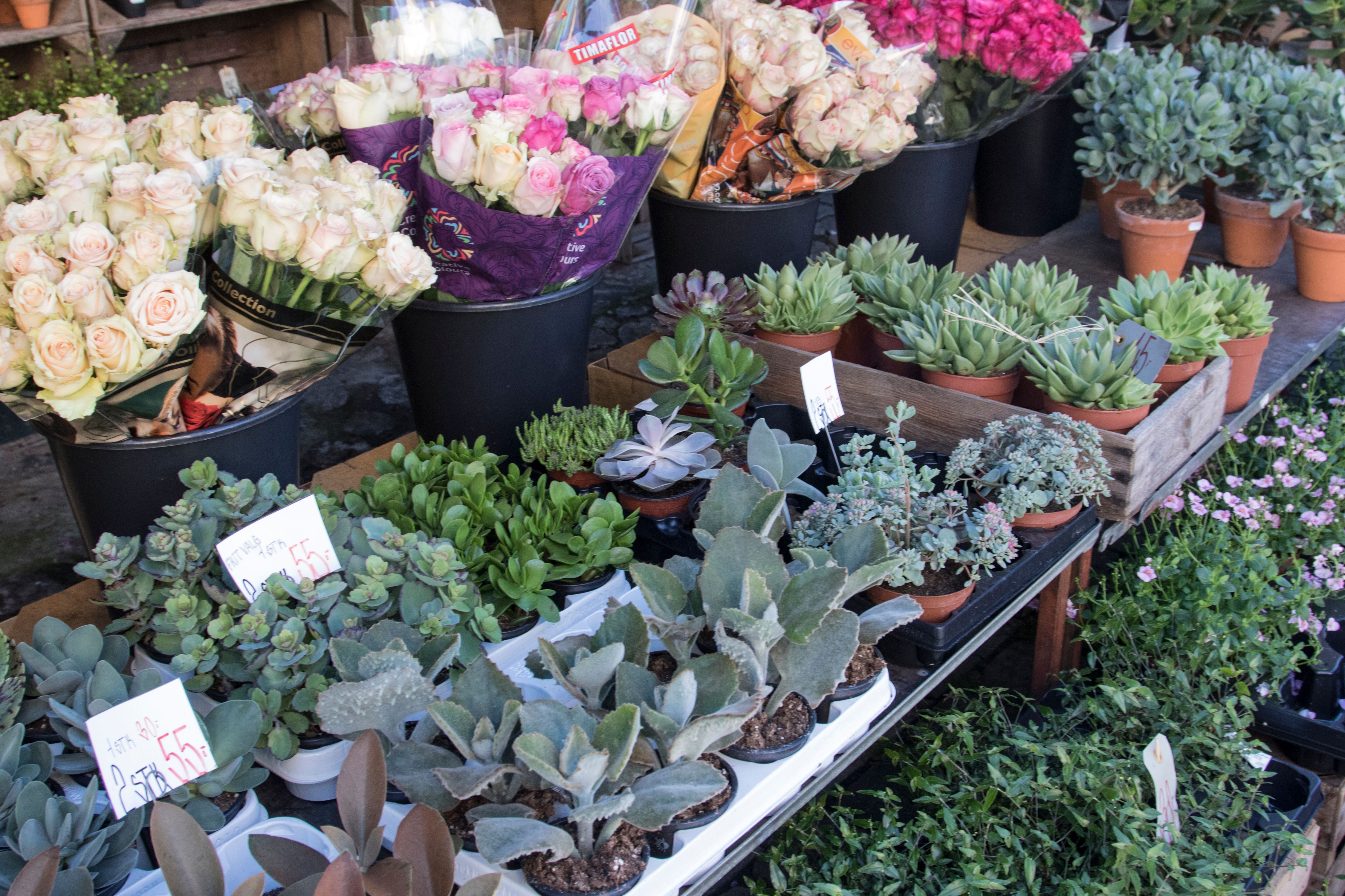 2GTQbgiNyrLLfWFH1ZfTkpKaAHiekAdH62F7fZv (2).jpeg