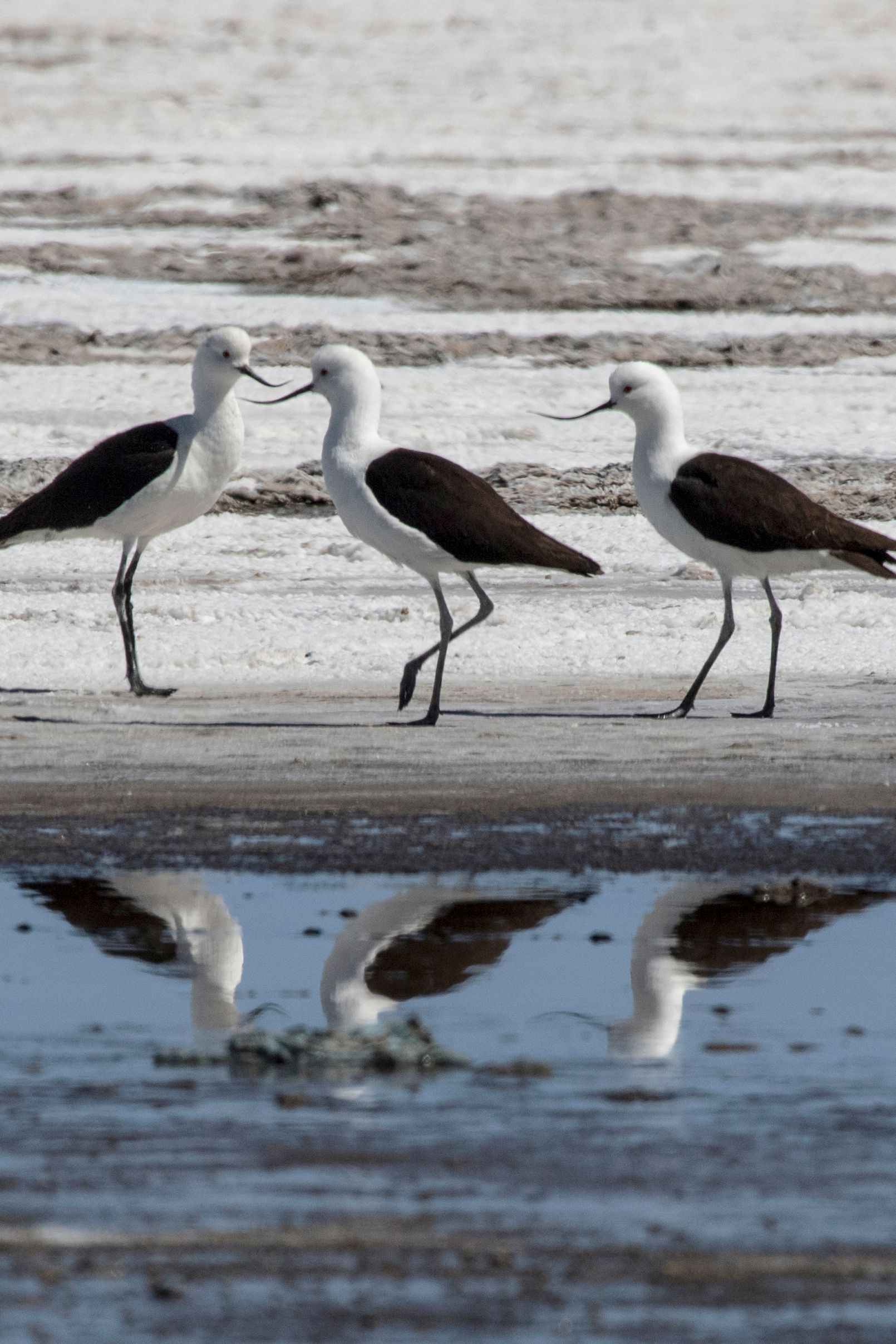 2GTQbgiNyrLLfWFH1ZfTkpKaAHiekAdH62F7fZv (18).jpeg