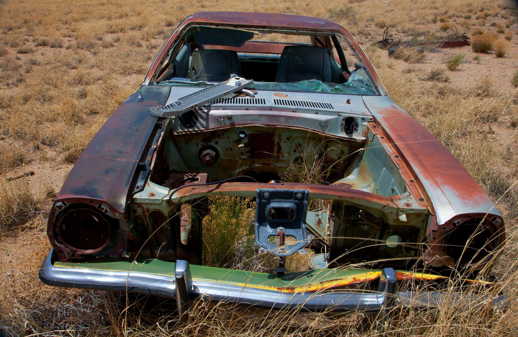 1r8x12_5524_pinto_slastride_2j8z7446