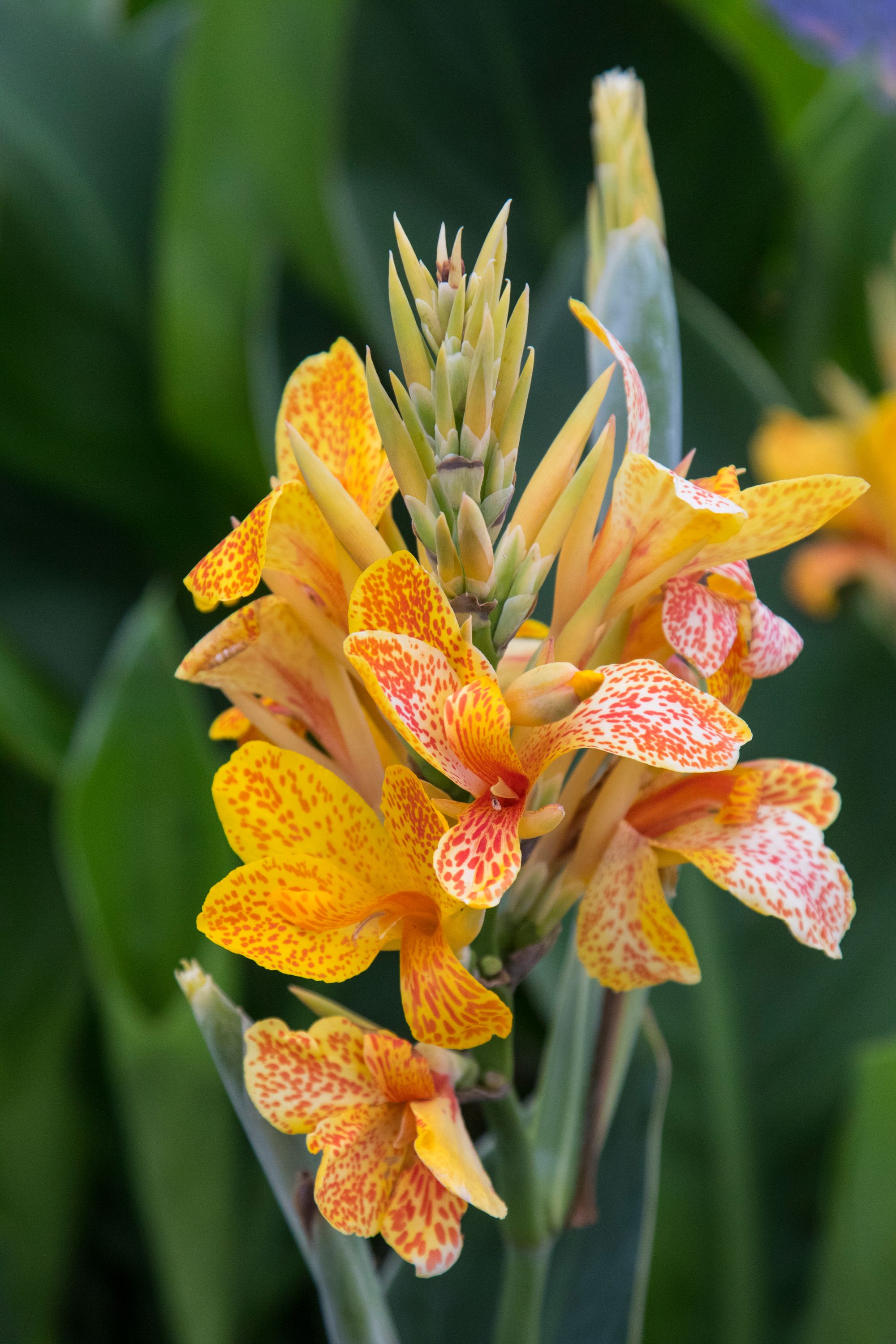 2GTQbgiNyrLLfWFH1ZfTkpKaAHiekAdH62F7fZv (6).jpeg