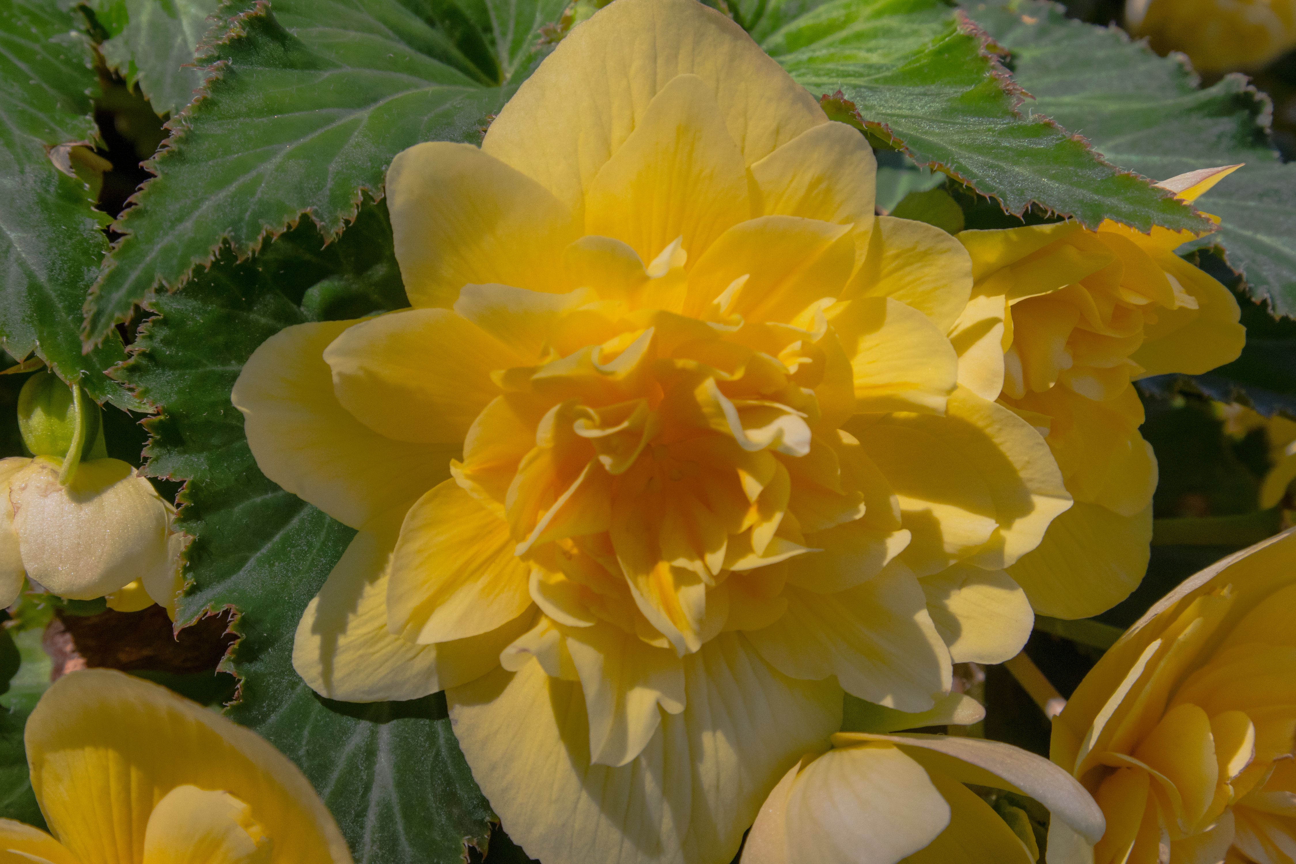 2GTQbgiNyrLLfWFH1ZfTkpKaAHiekAdH62F7fZv (1).jpeg