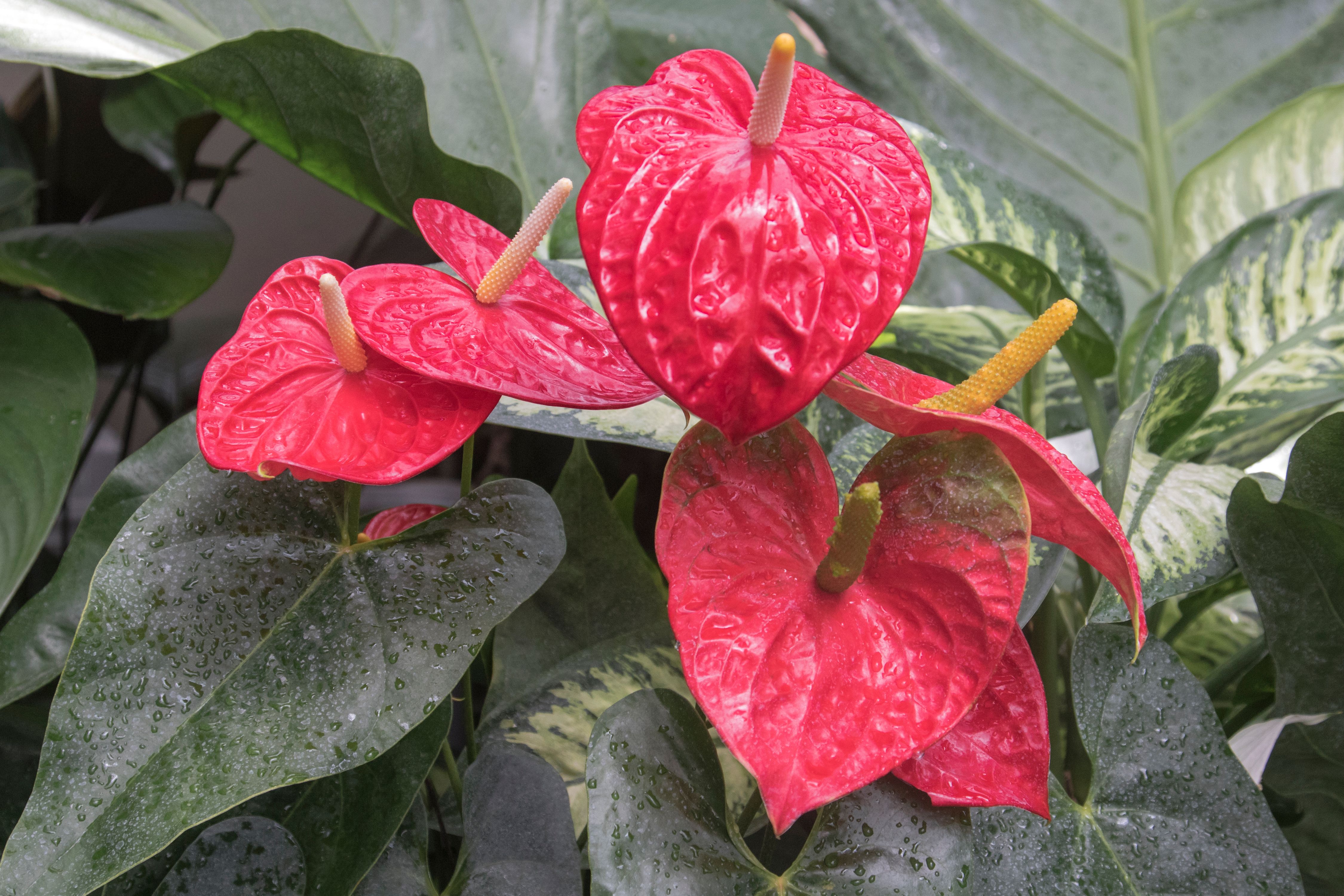 2GTQbgiNyrLLfWFH1ZfTkpKaAHiekAdH62F7fZv (11).jpeg