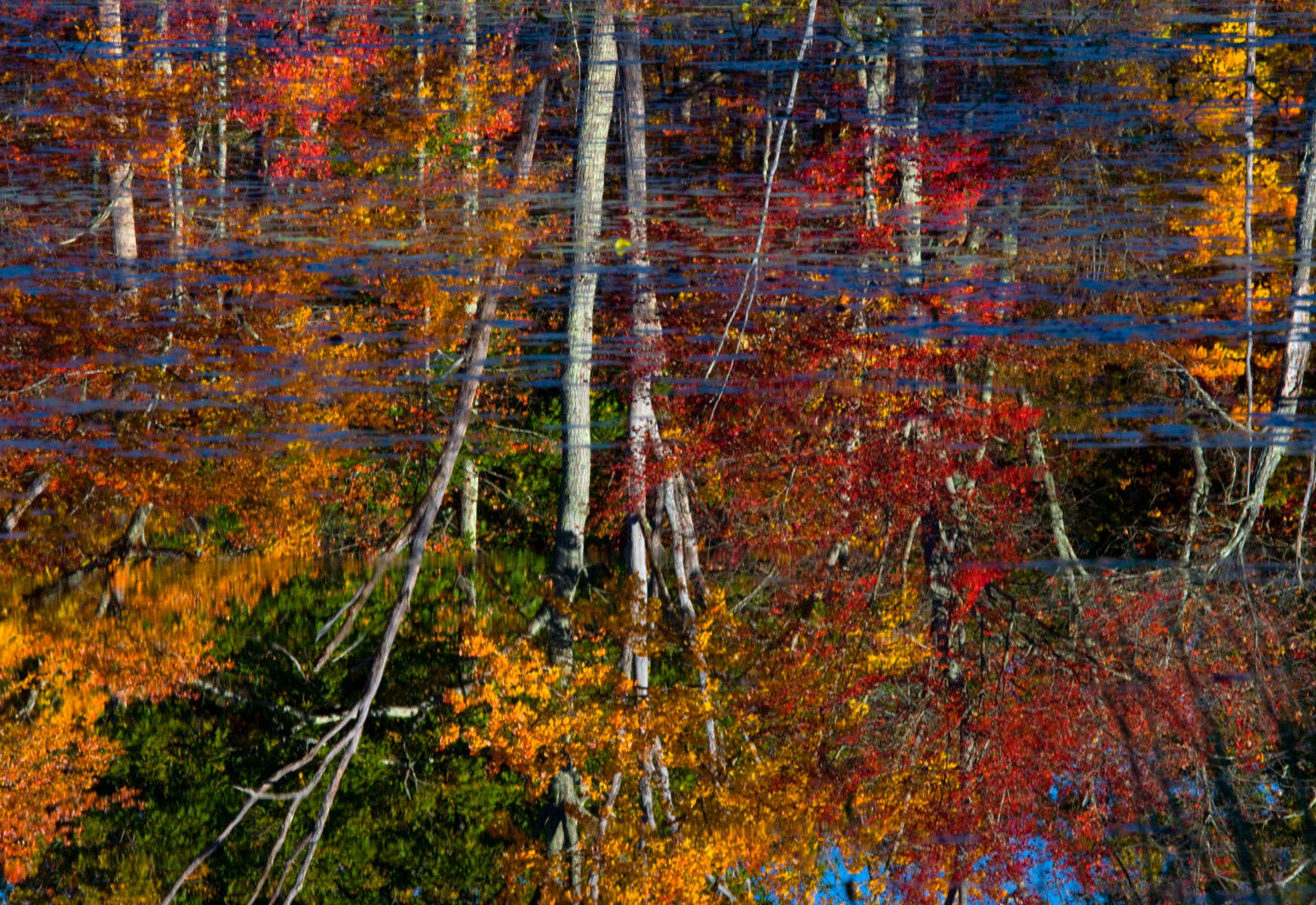 1r5132_gaycity_3_2j8z1957