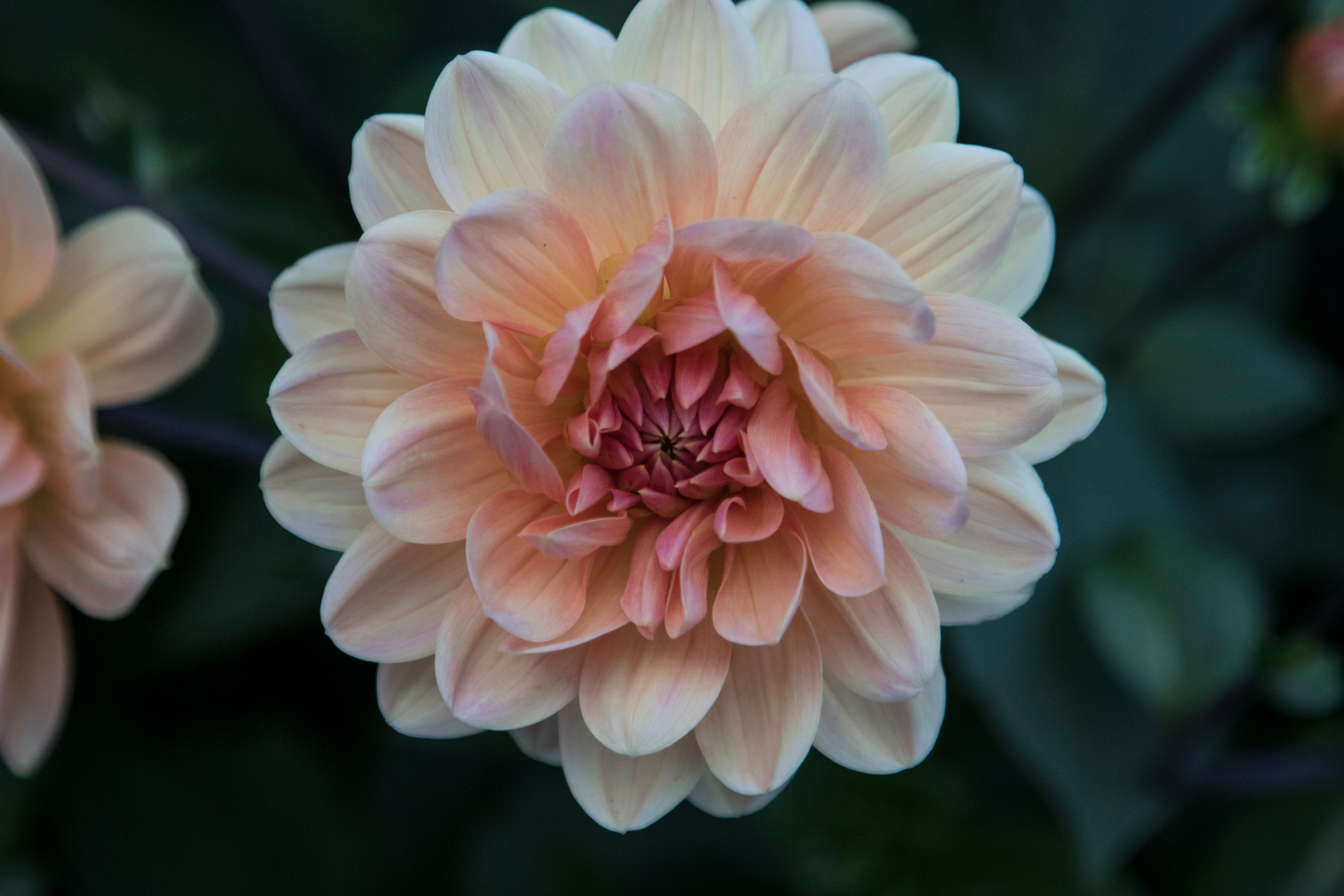 2GTQbgiNyrLLfWFH1ZfTkpKaAHiekAdH62F7fZv (7).jpeg