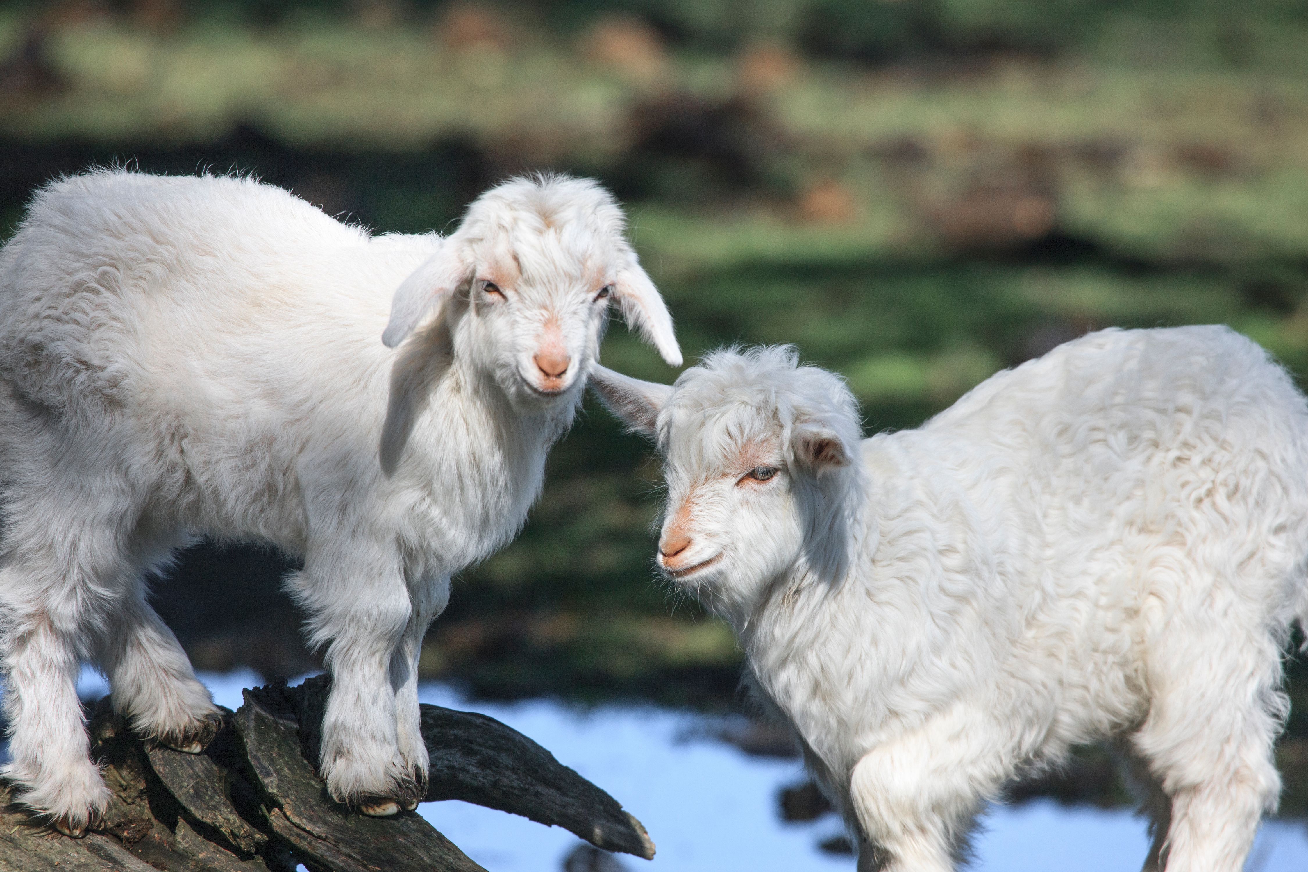 2GTQbgiNyrLLfWFH1ZfTkpKaAHiekAdH62F7fZv (10).jpeg