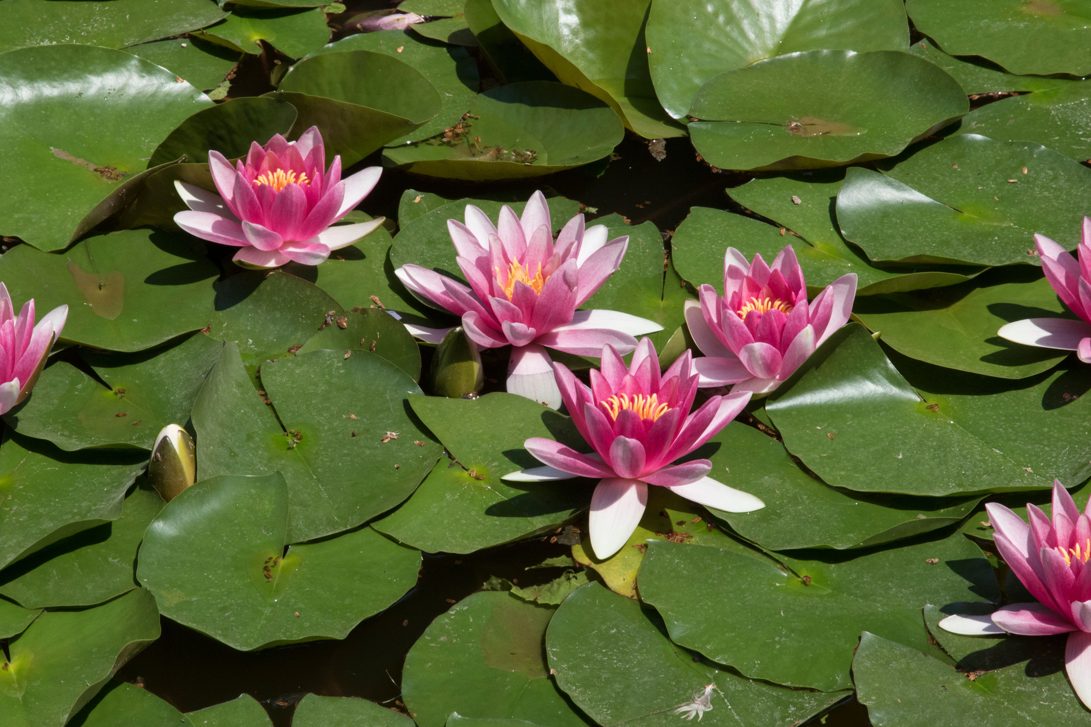 2GTQbgiNyrLLfWFH1ZfTkpKaAHiekAdH62F7fZv (4).jpeg