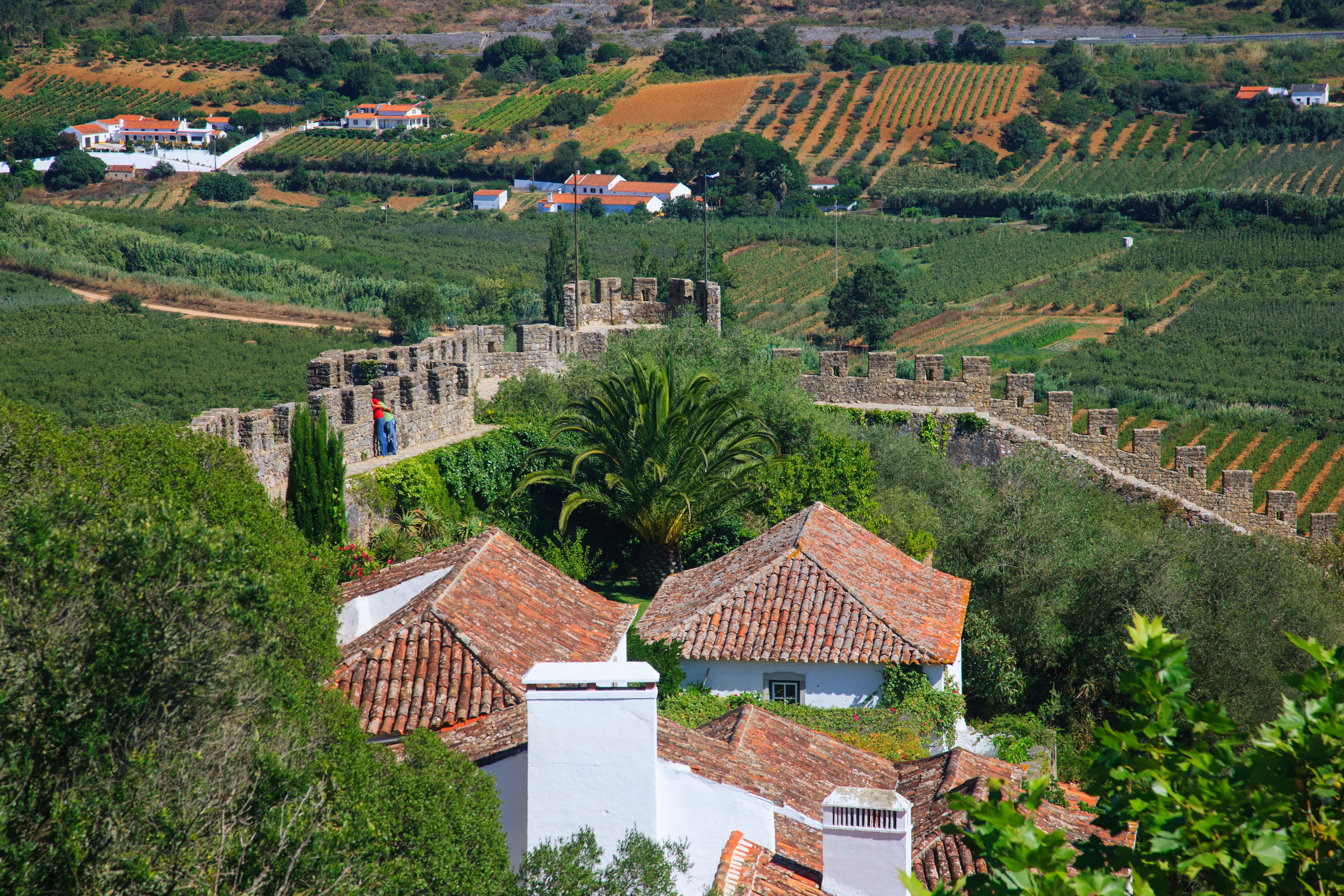 2GTQbgiNyrLLfWFH1ZfTkpKaAHiekAdH62F7fZv (1).jpeg