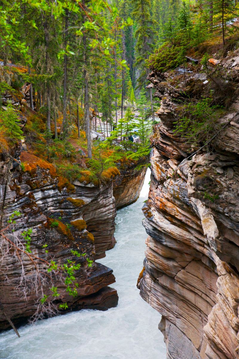 1athabascanfalls_2j8z7610