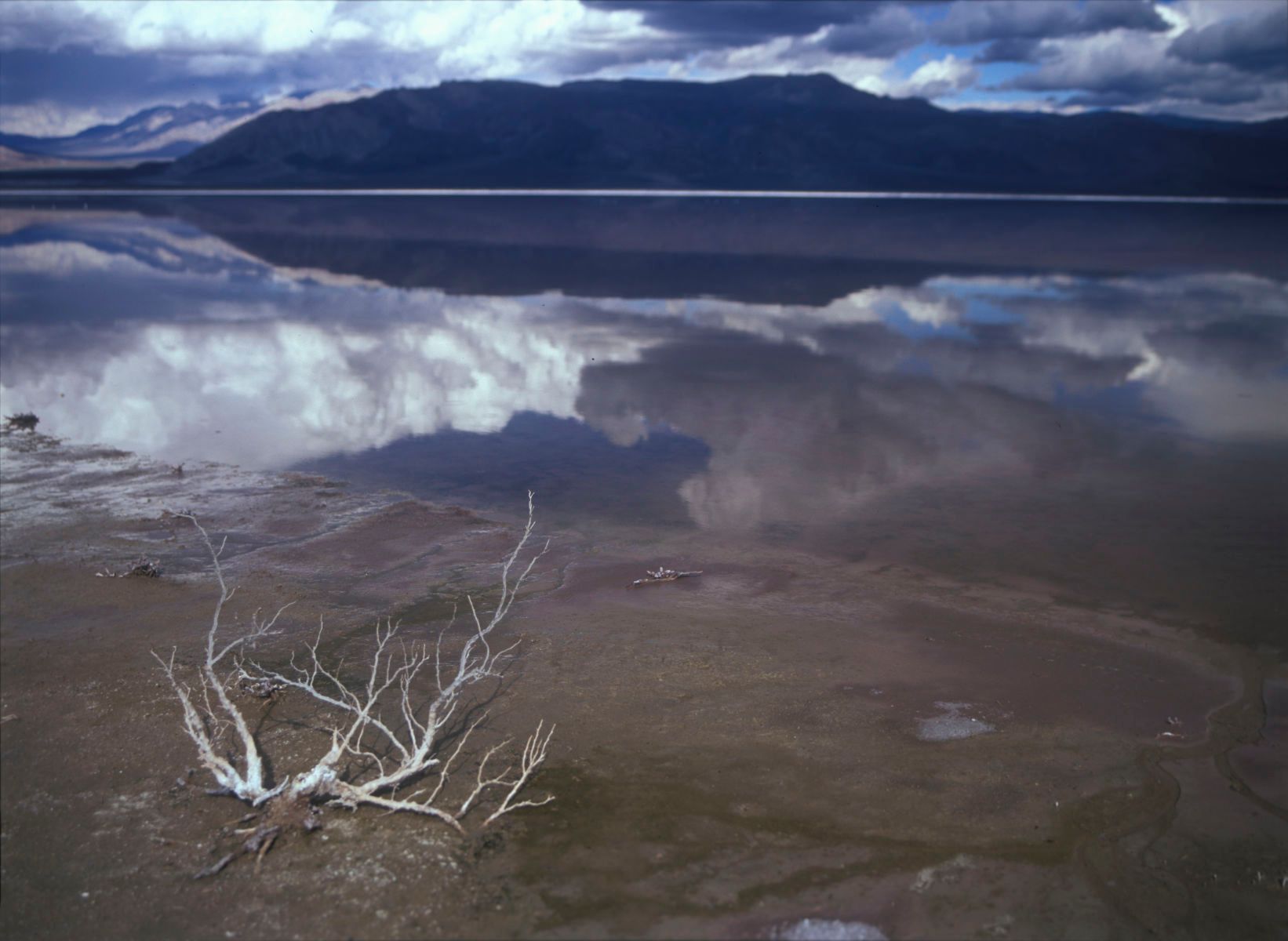 1rawfile_2078_saltlakedriftw