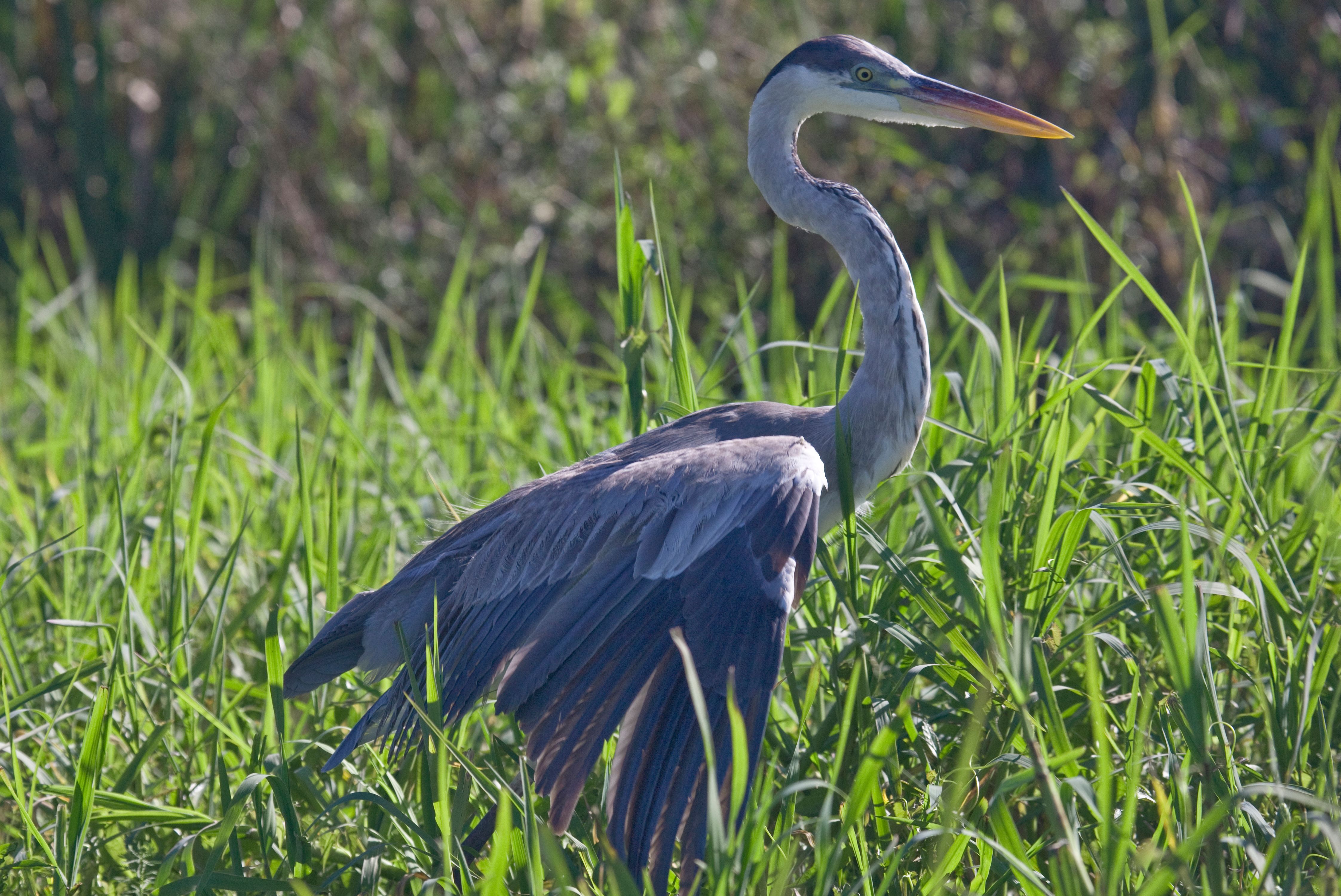 2GTQbgiNyrLLfWFH1ZfTkpKaAHiekAdH62F7fZv (16).jpeg