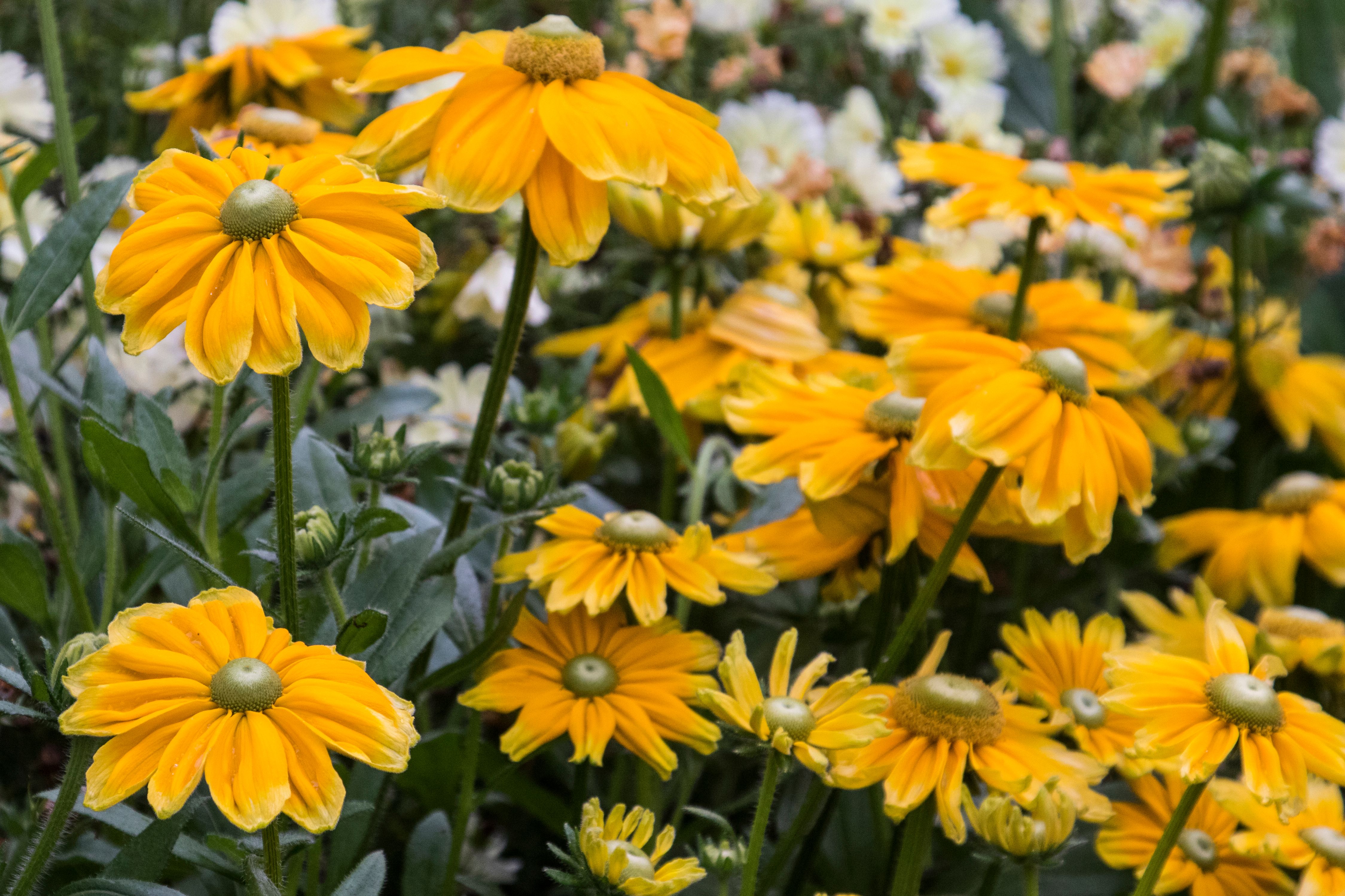 2GTQbgiNyrLLfWFH1ZfTkpKaAHiekAdH62F7fZv (2).jpeg