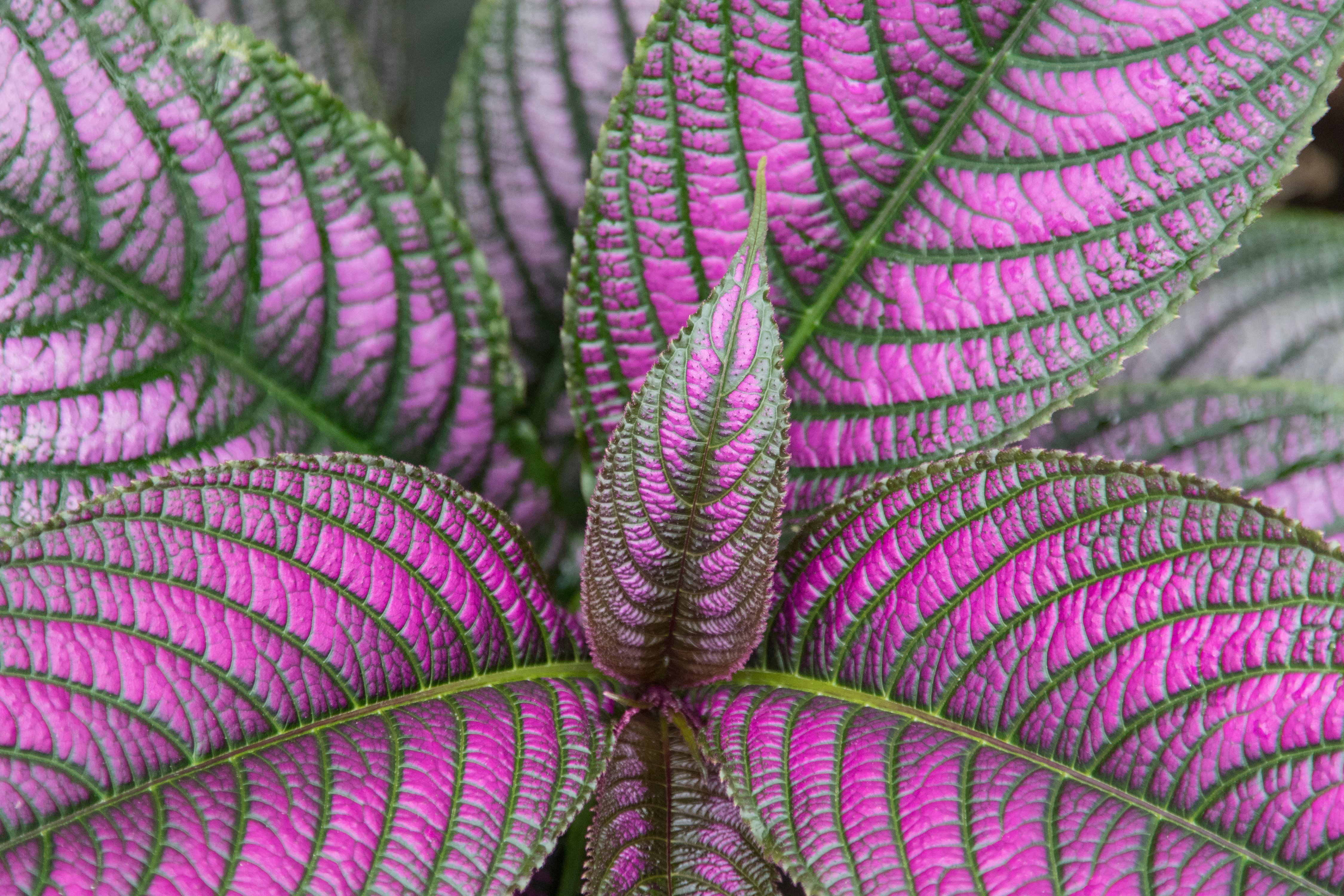 2GTQbgiNyrLLfWFH1ZfTkpKaAHiekAdH62F7fZv (10).jpeg