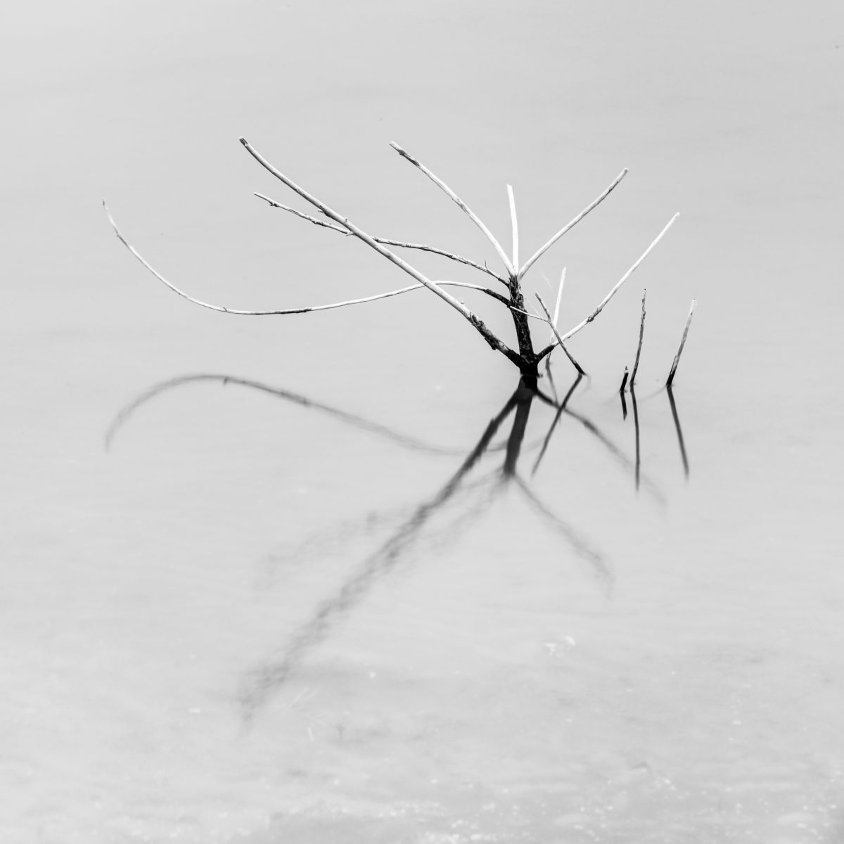 The Agony and The Ecstasy