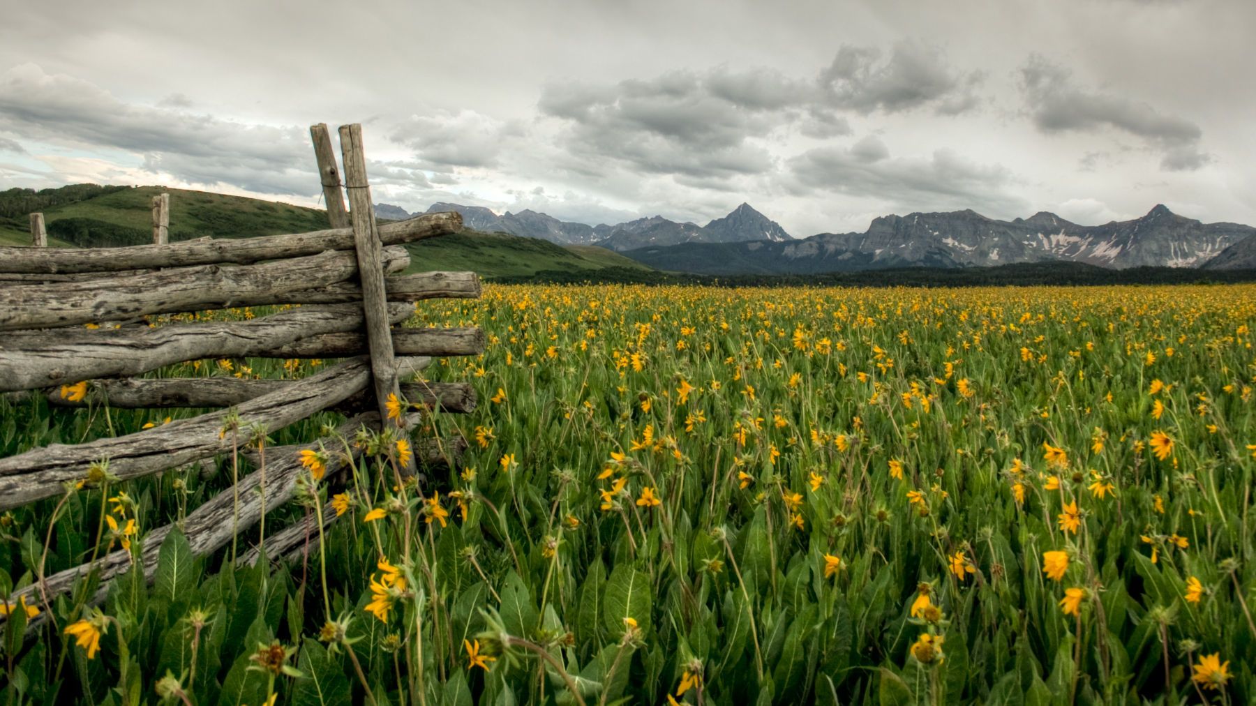 A subtle chain of countless ringsThe next unto the farthest brings.~emerson A subtle Chain