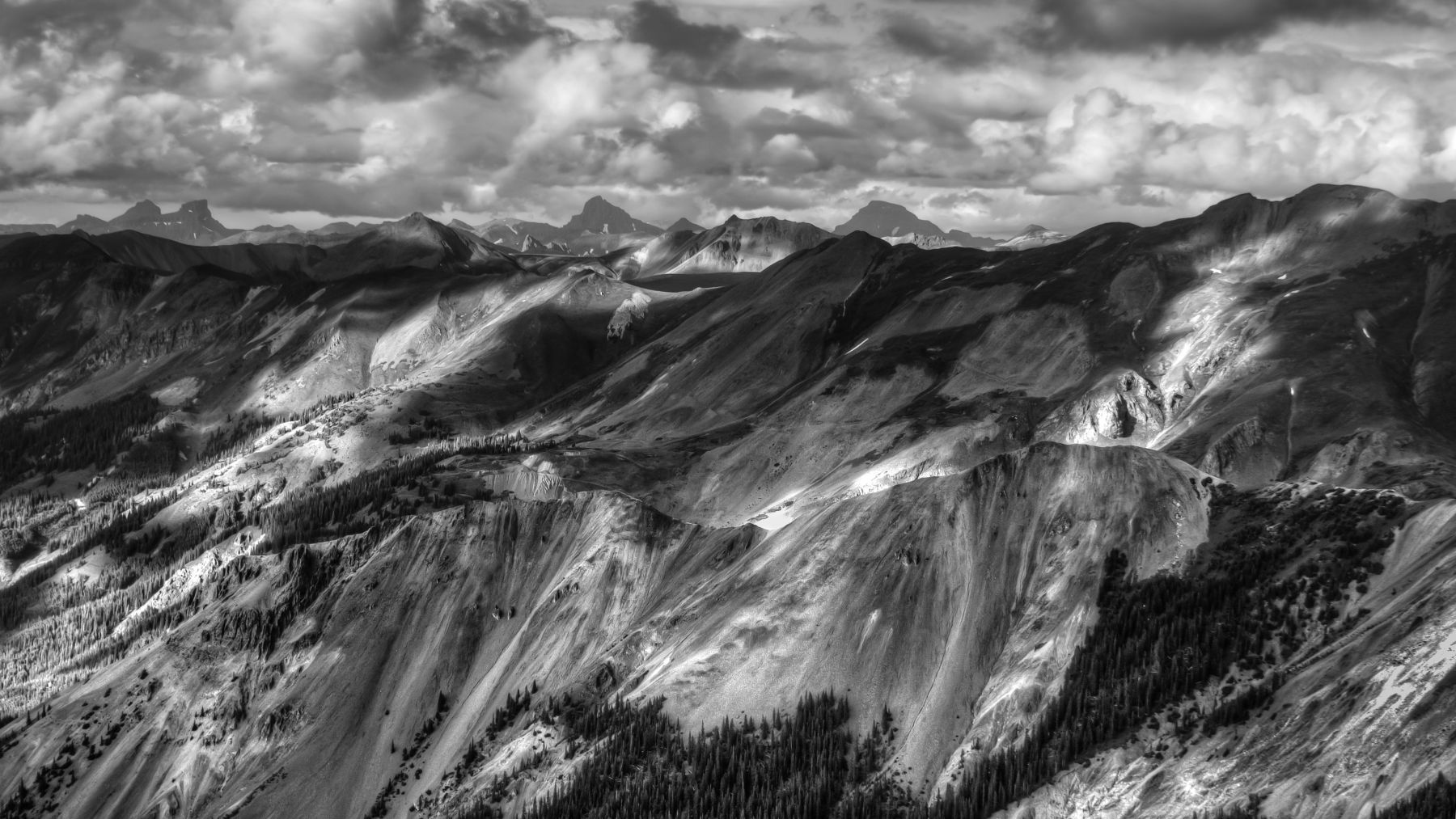 1regeneration_24__1_of_1_