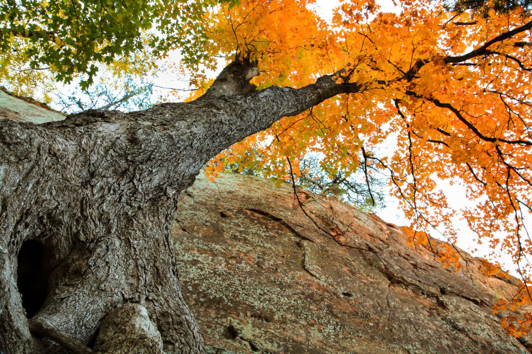 1red_rock_canyon_12__1_of_1_