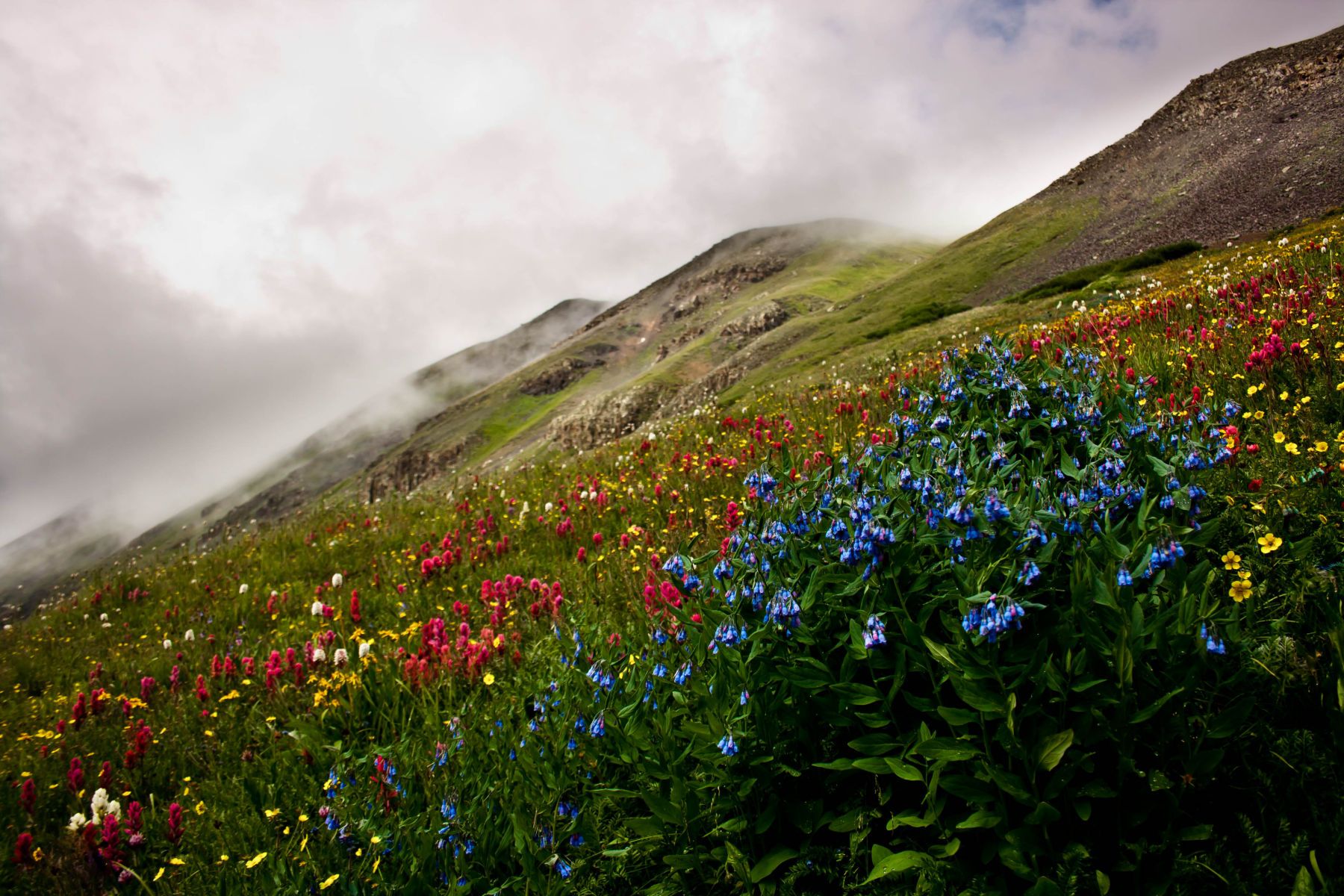 1stoney_pass_21__1_of_1_