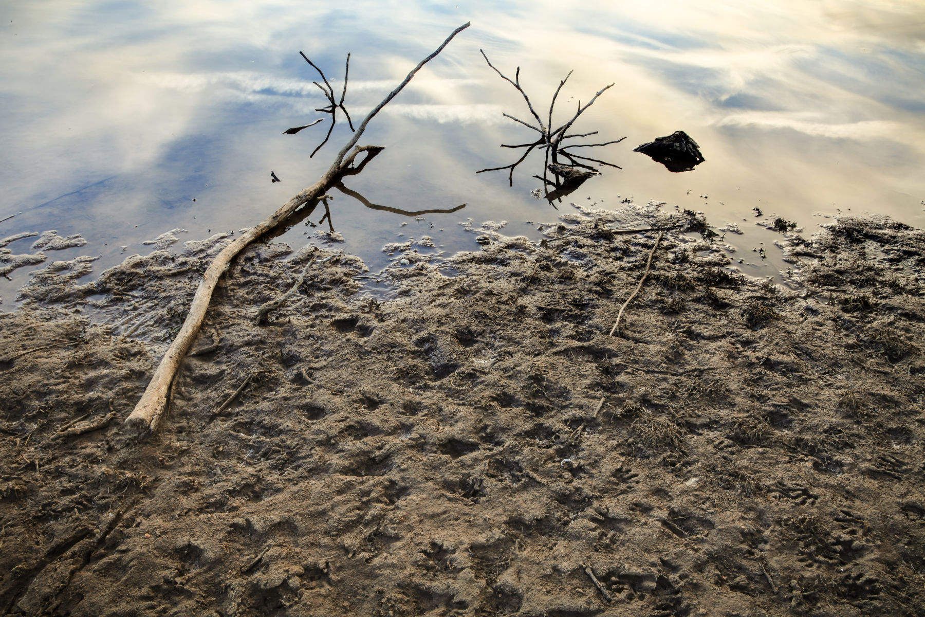 A boat, beneath a sunny skyLingering onward dreamilyIn an evening of July --Children three that nestle near,Eager eye and willing earPleased a simple tale to hear --Long has paled that sunny sky:Echoes fade and memories die:Autumn frosts have slain July.Still she haunts me, phantomwiseAlice moving under skiesNever seen by waking eyes.Children yet, the tale to hear,Eager eye and willing ear,Lovingly shall nestle near.In a Wonderland they lie,Dreaming as the days go by,Dreaming as the summers die:Ever drifting down the stream --Lingering in the golden gleam --Life what is it but a dream?~Lewis Carroll Epilogue to Through the Looking Glass