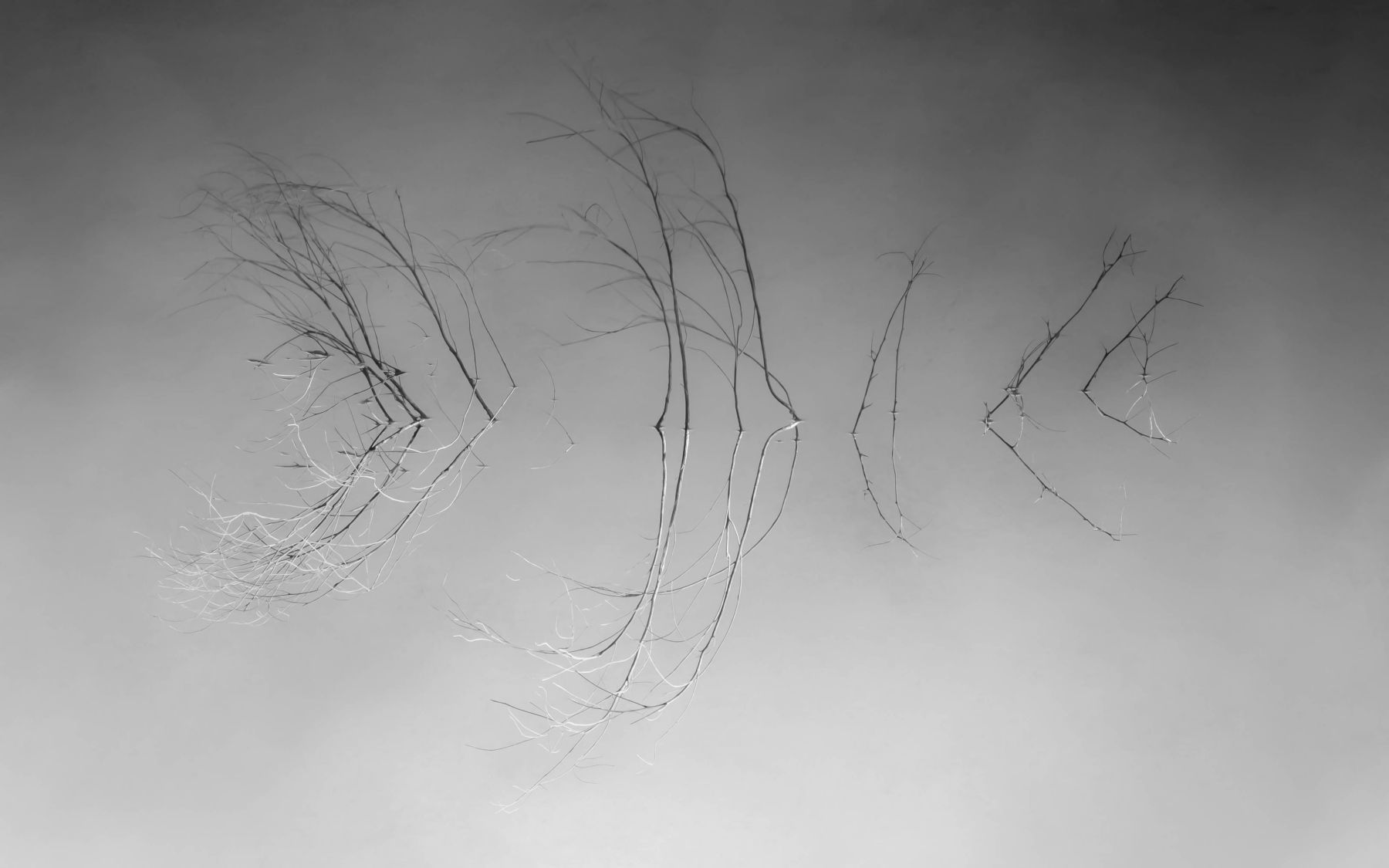 1january_50__1_of_1_