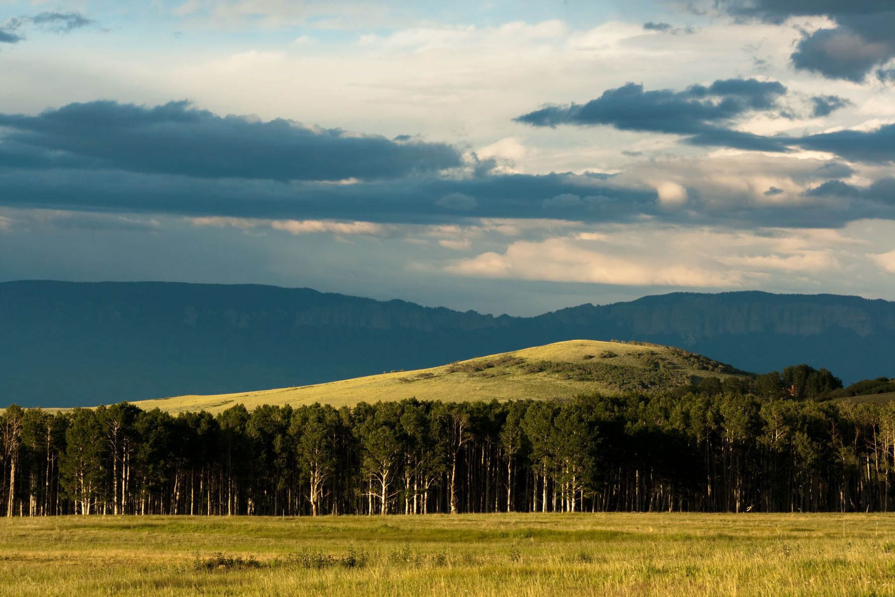 1rocky_mountain_high2__1_of_1_