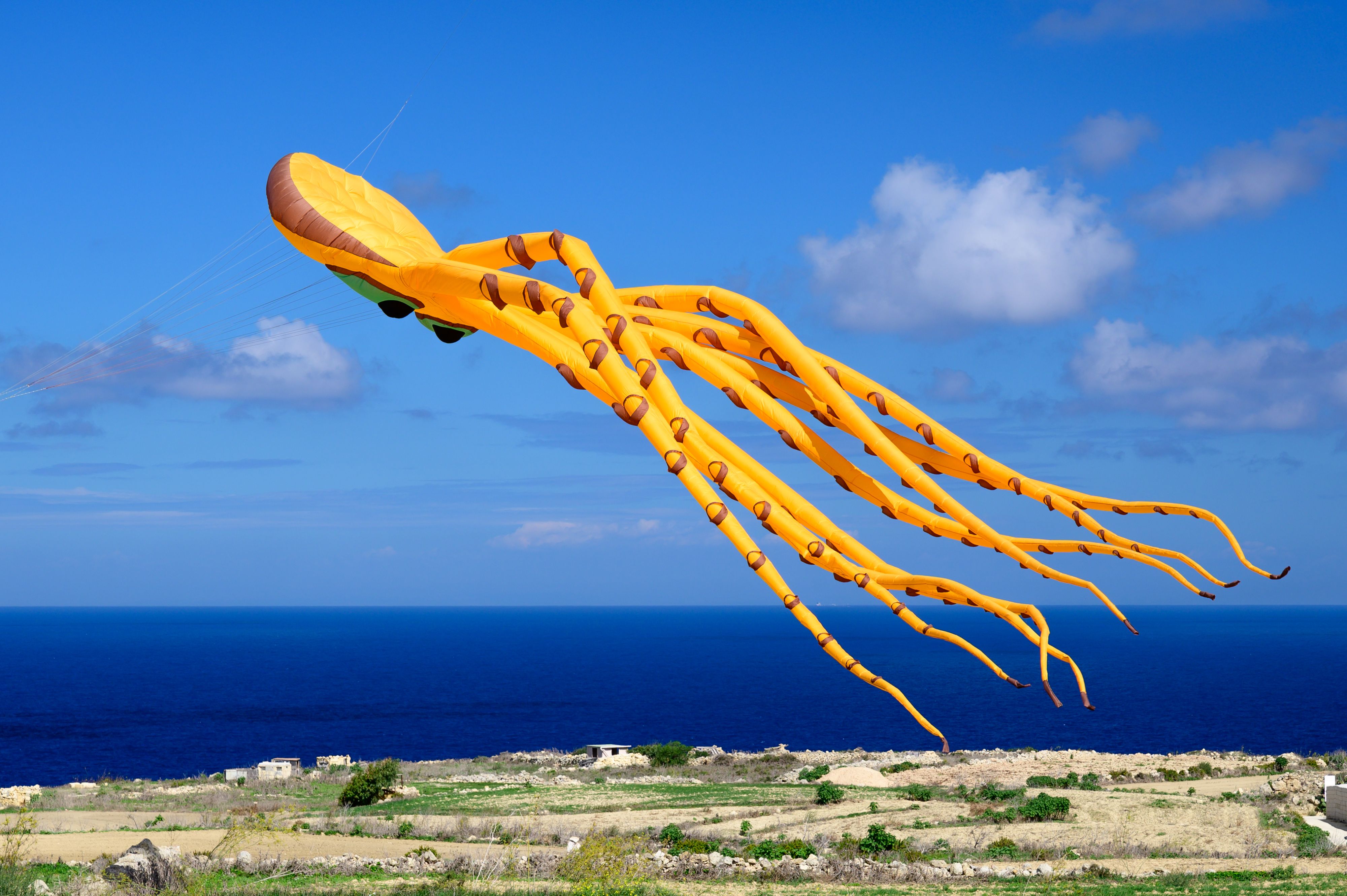 Orange octopus kite floats over sea at International Kite  Festival in San Dimitri, Gharb, Gozo, Malta
