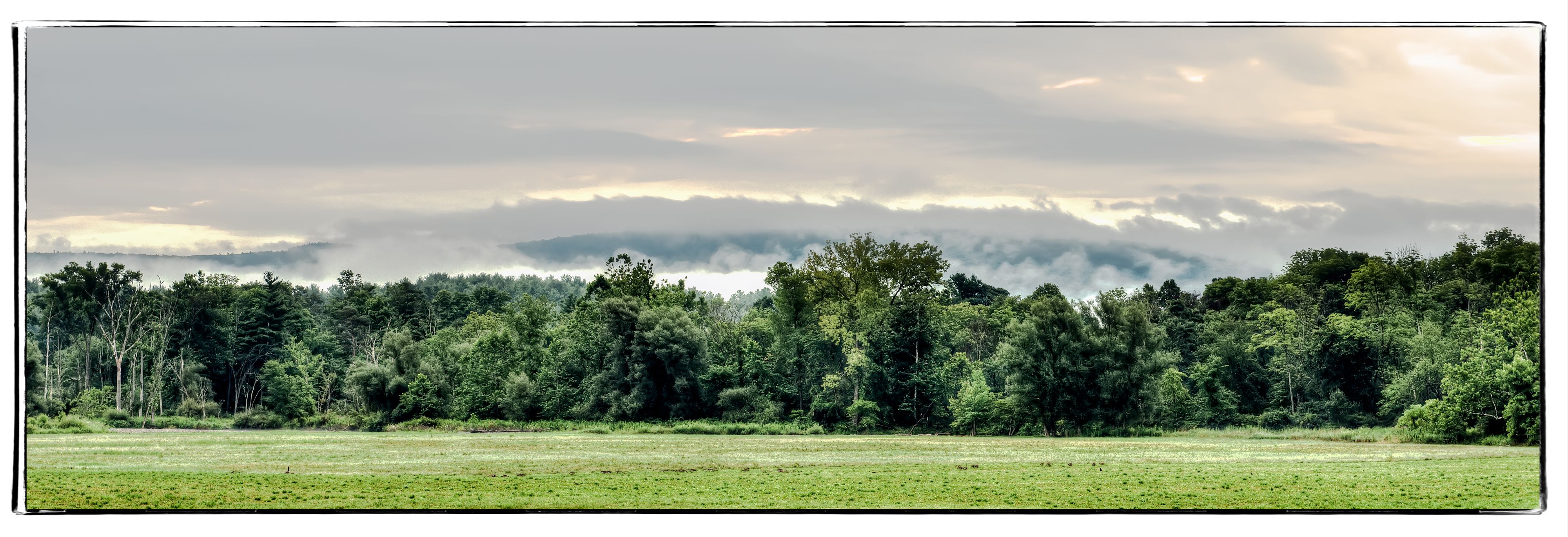 Panoramic landscape shot of trees and green grass in Egremont Massachusetts