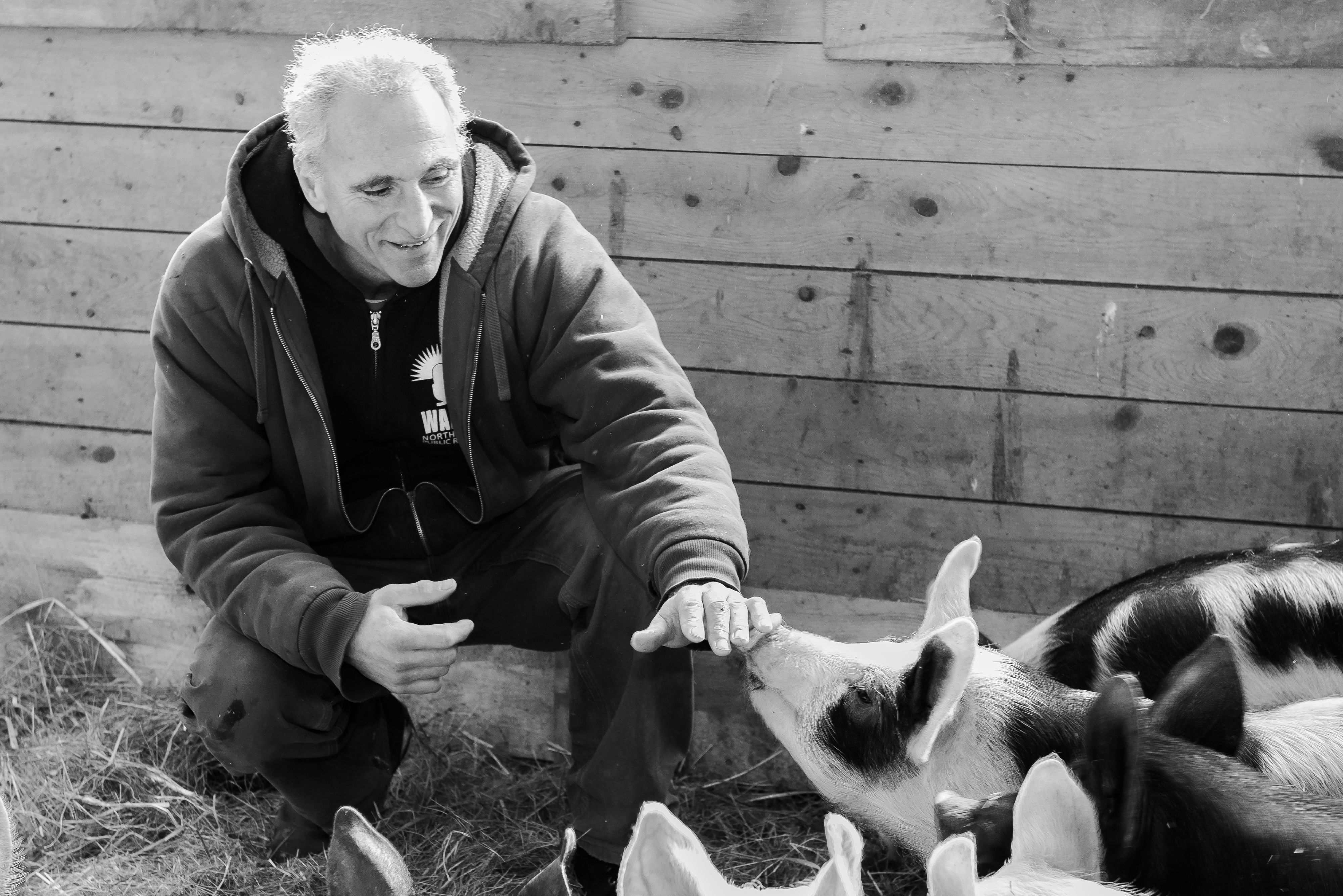B&W photo of male farmer petting his pigs in barn