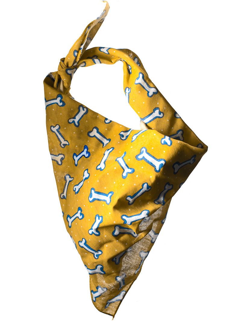 Kobe's Bandana
