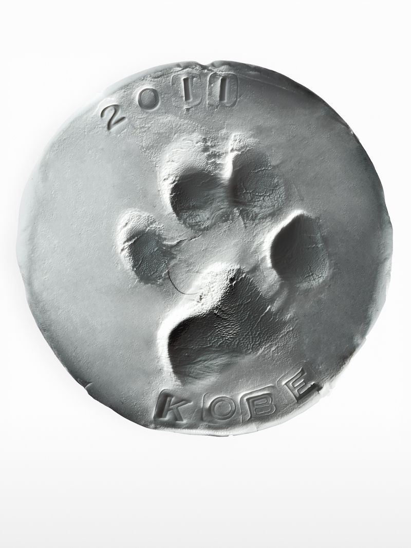 Kobe's Paw Print