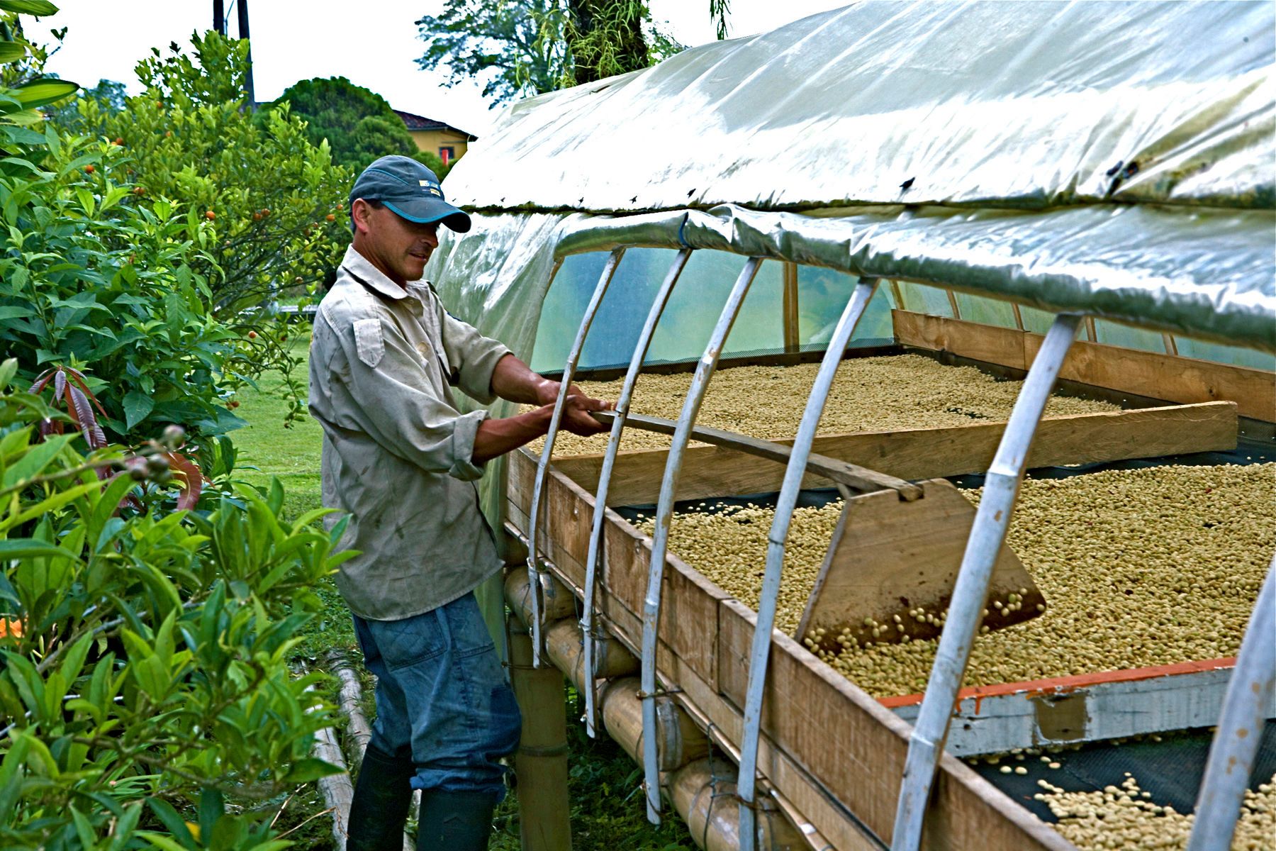 1juan_valdez_coffee_14_