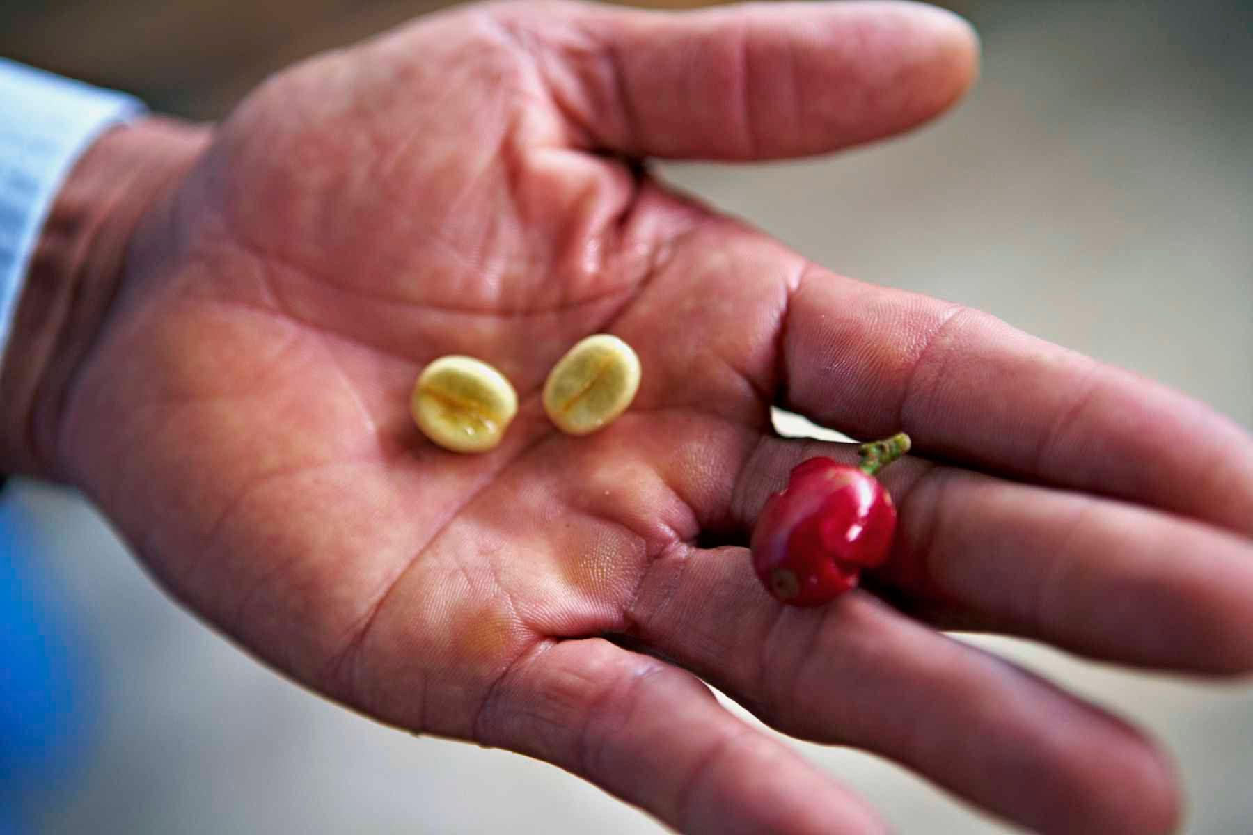 1juan_valdez_coffee_78