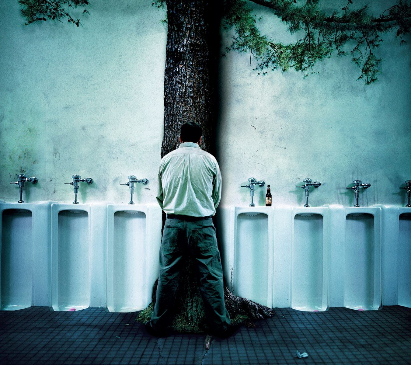 Bringing the Great Northwoods to you