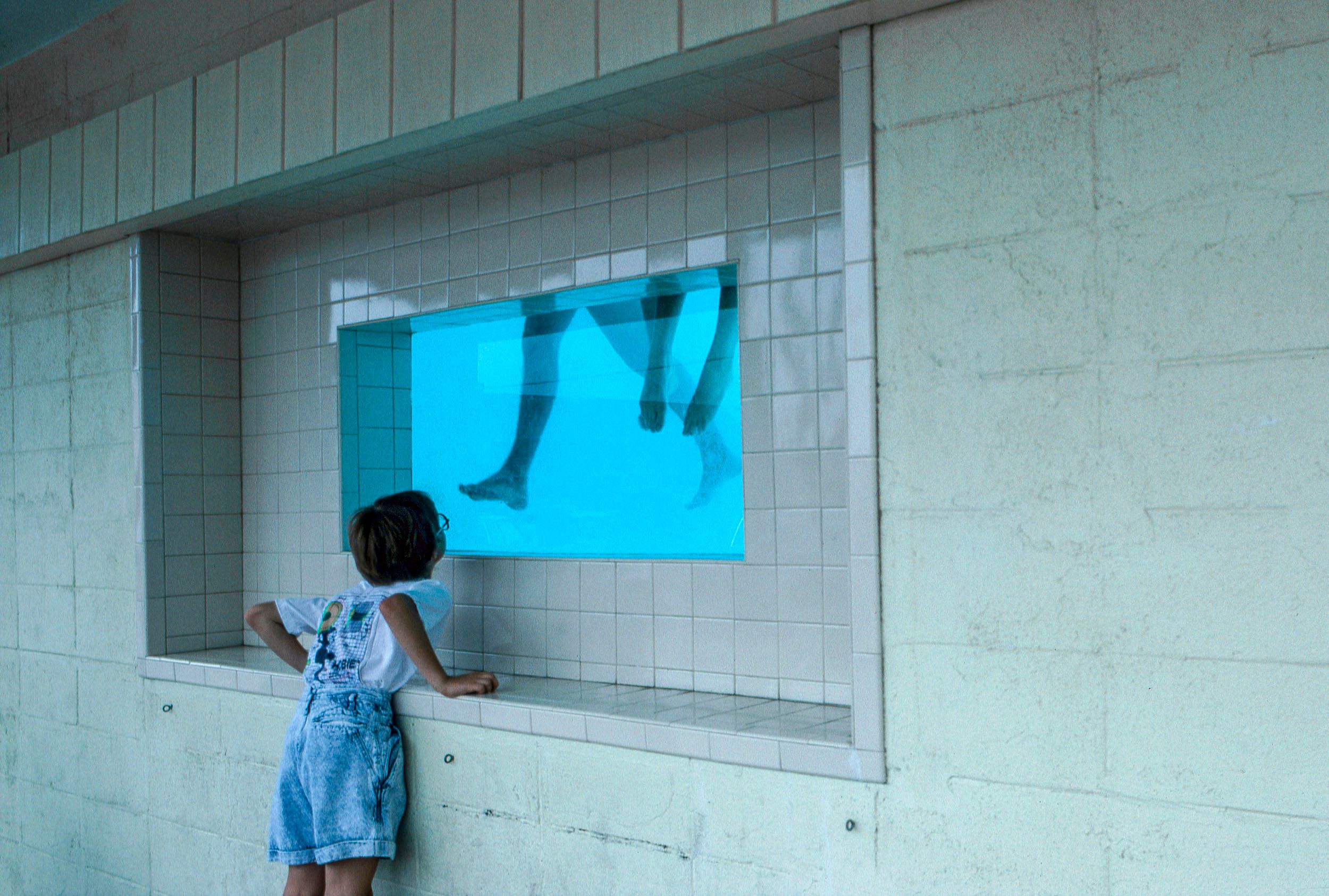Swimming Pool Window