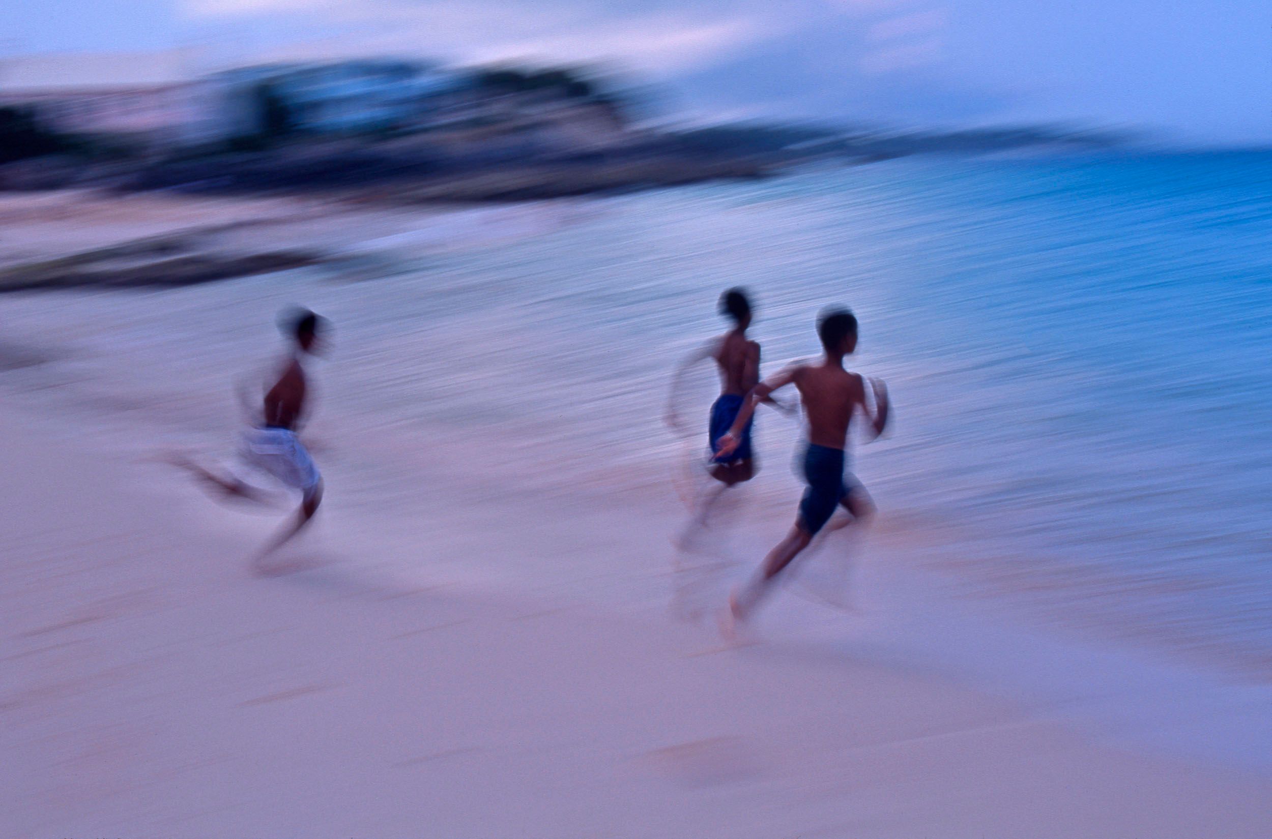 Into the Sea