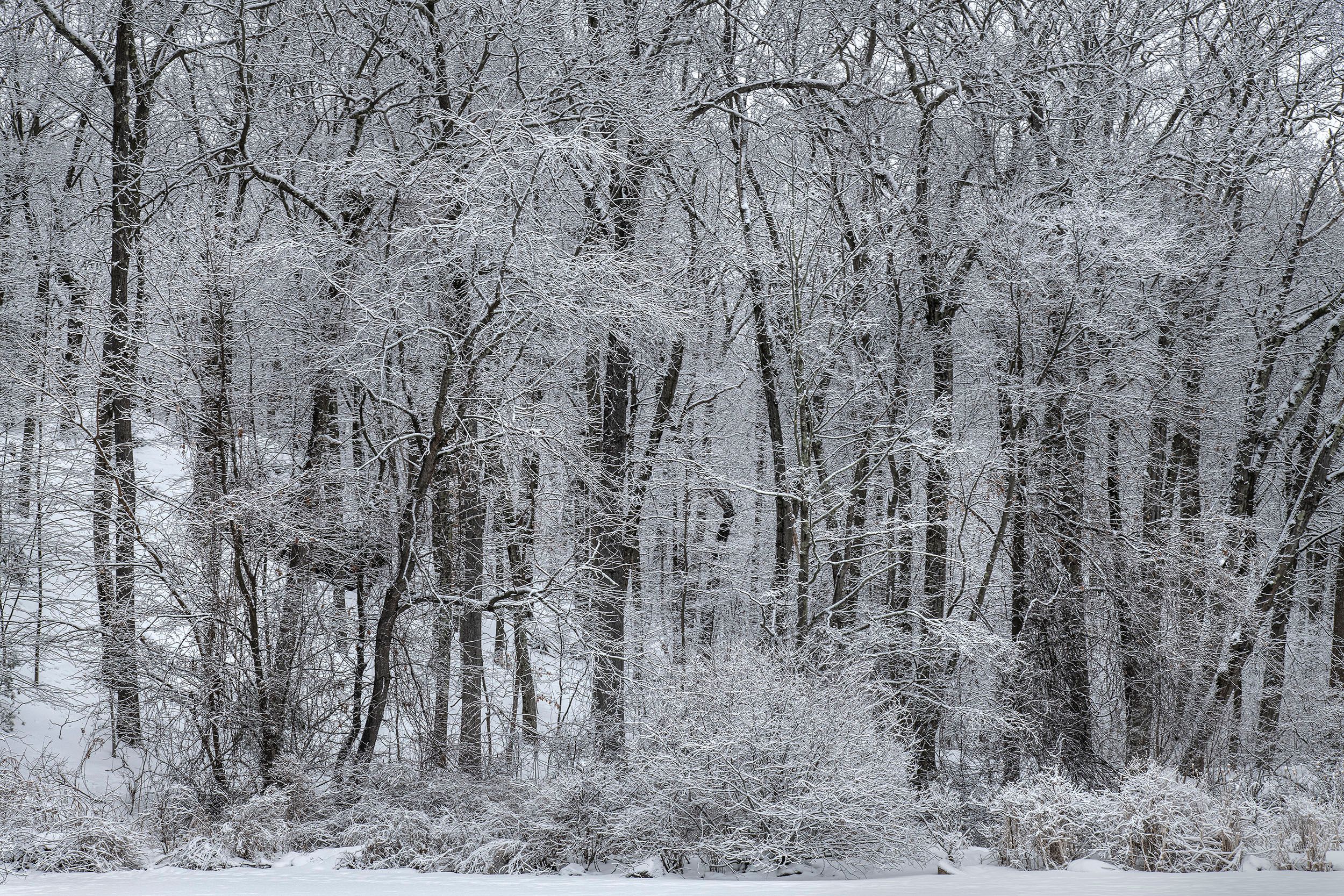 Winter in New England