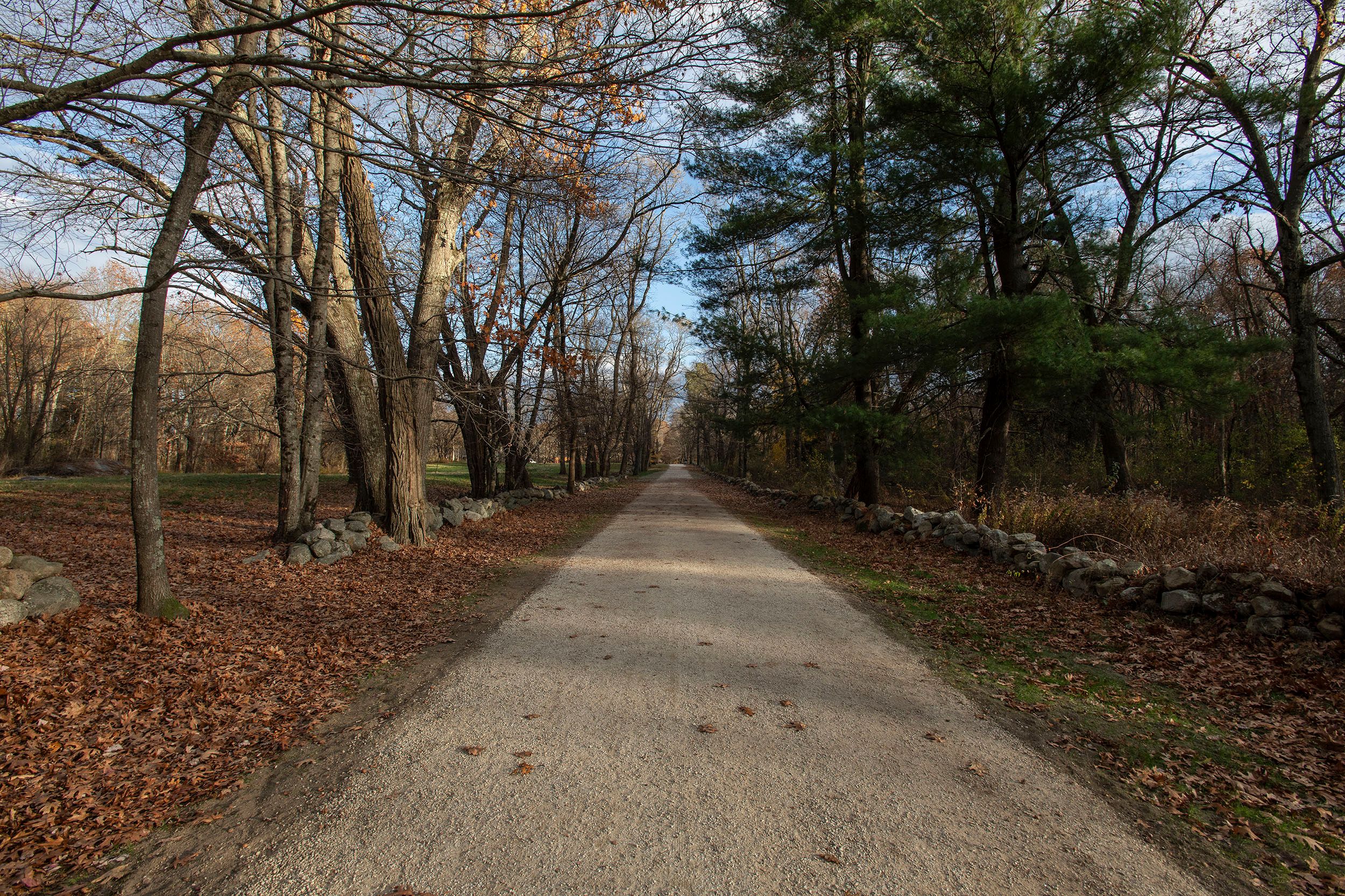 Battle Road