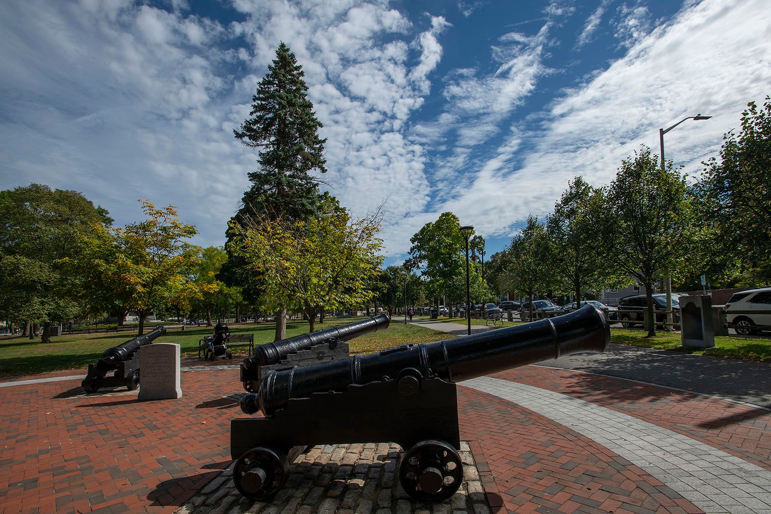 Cannons from Fort Castle