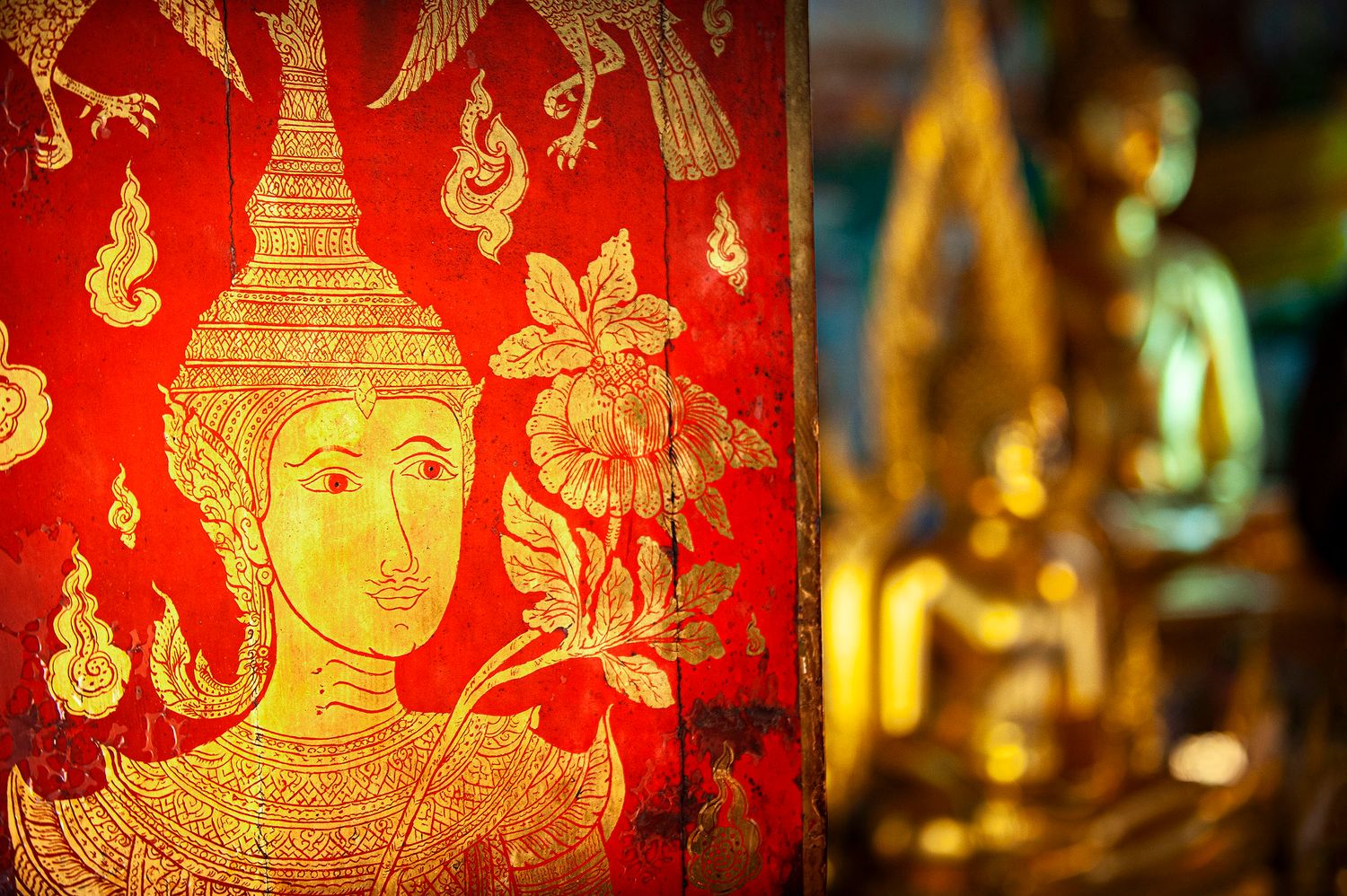  Lost and Found in Thailand