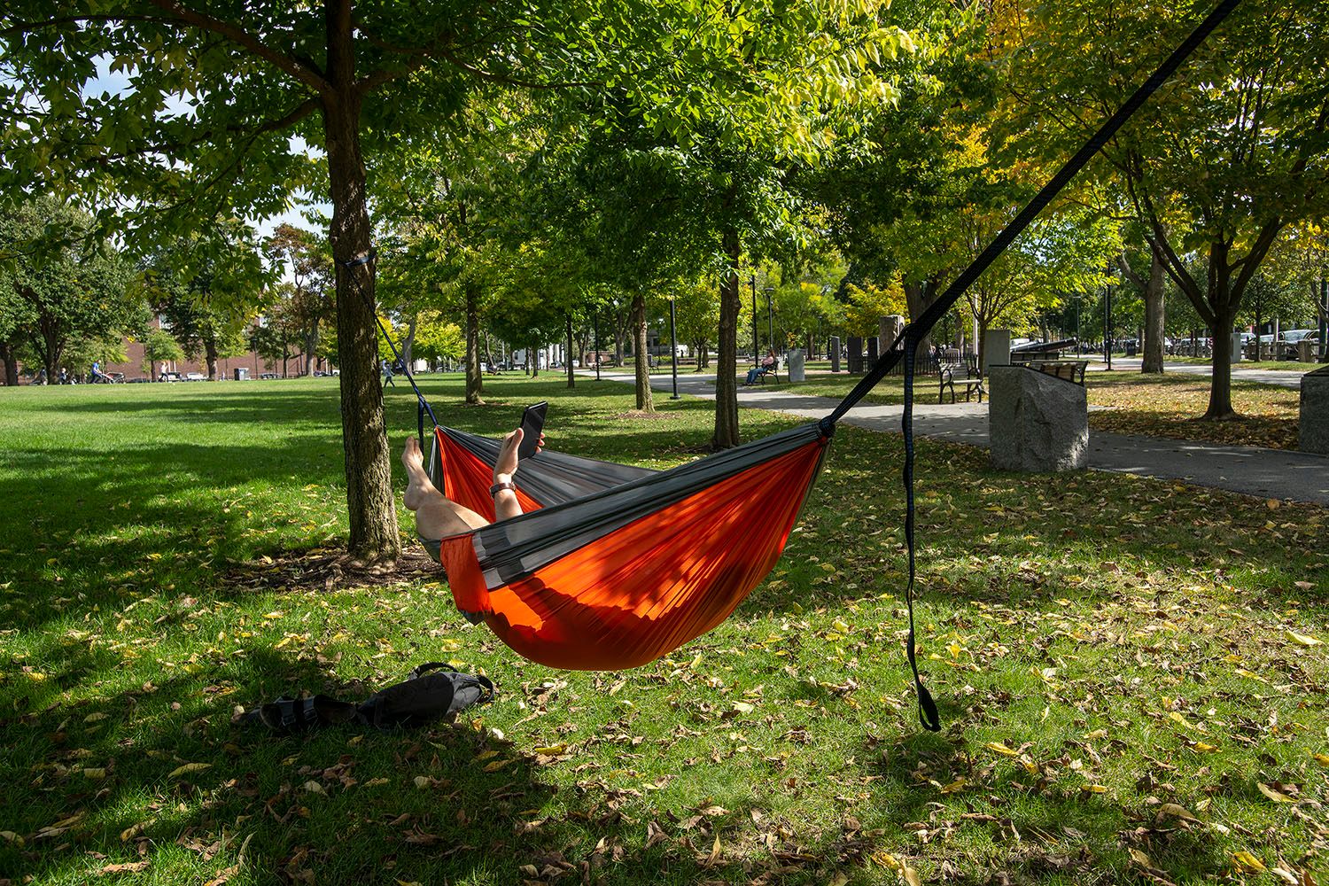 Hanging in the hammock