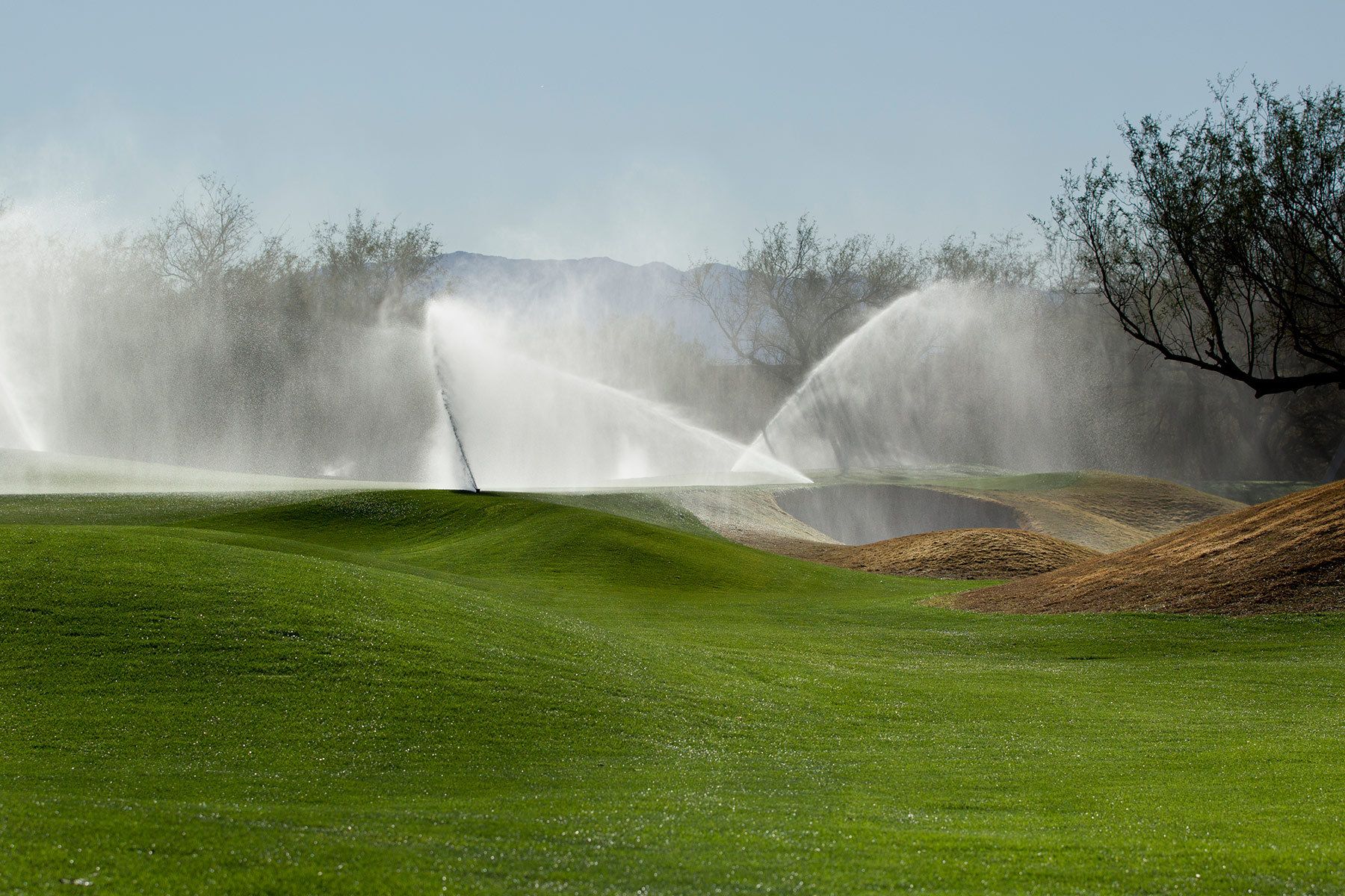 1dhein_20120223_08lb