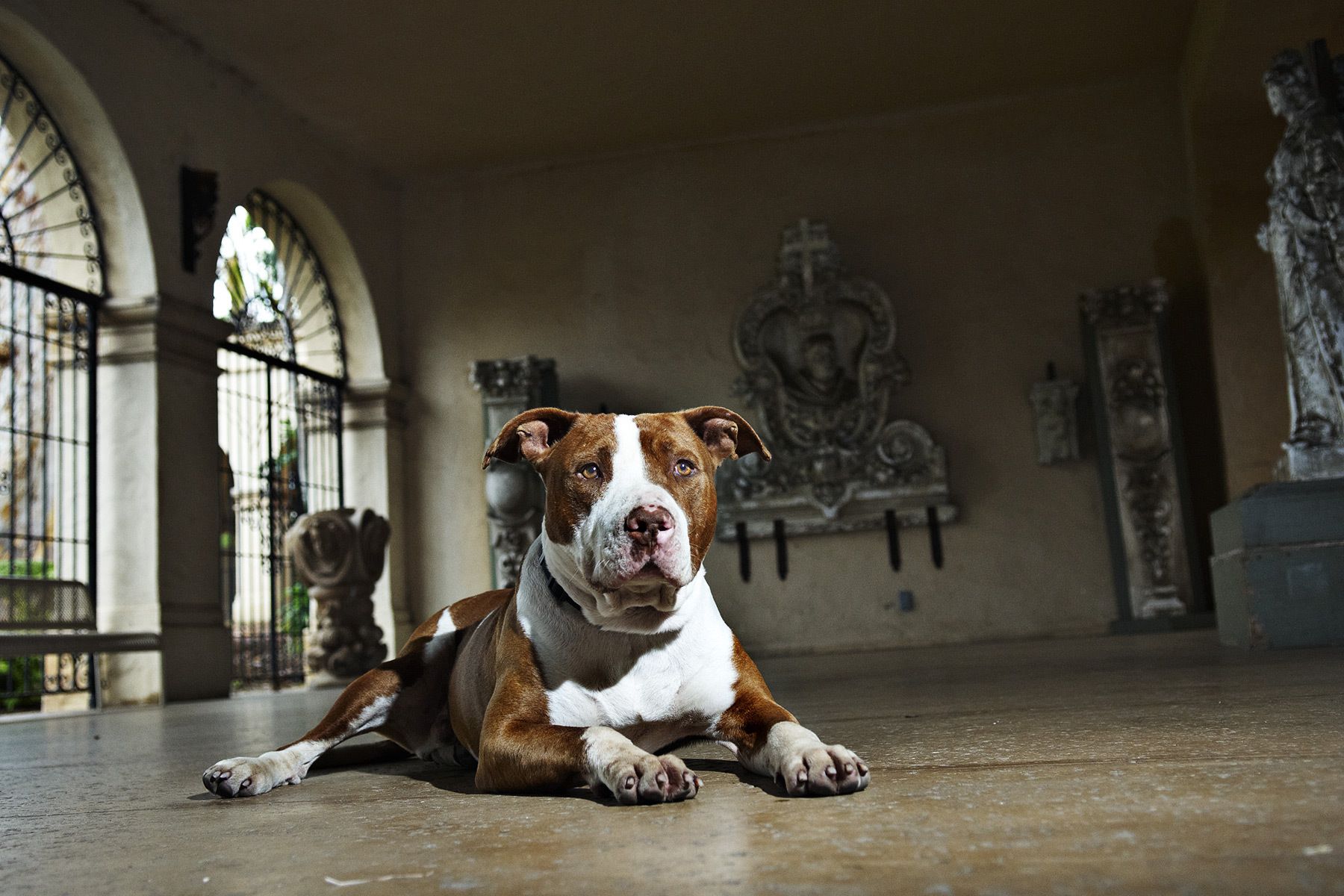 1dhein_20100721_053_lb