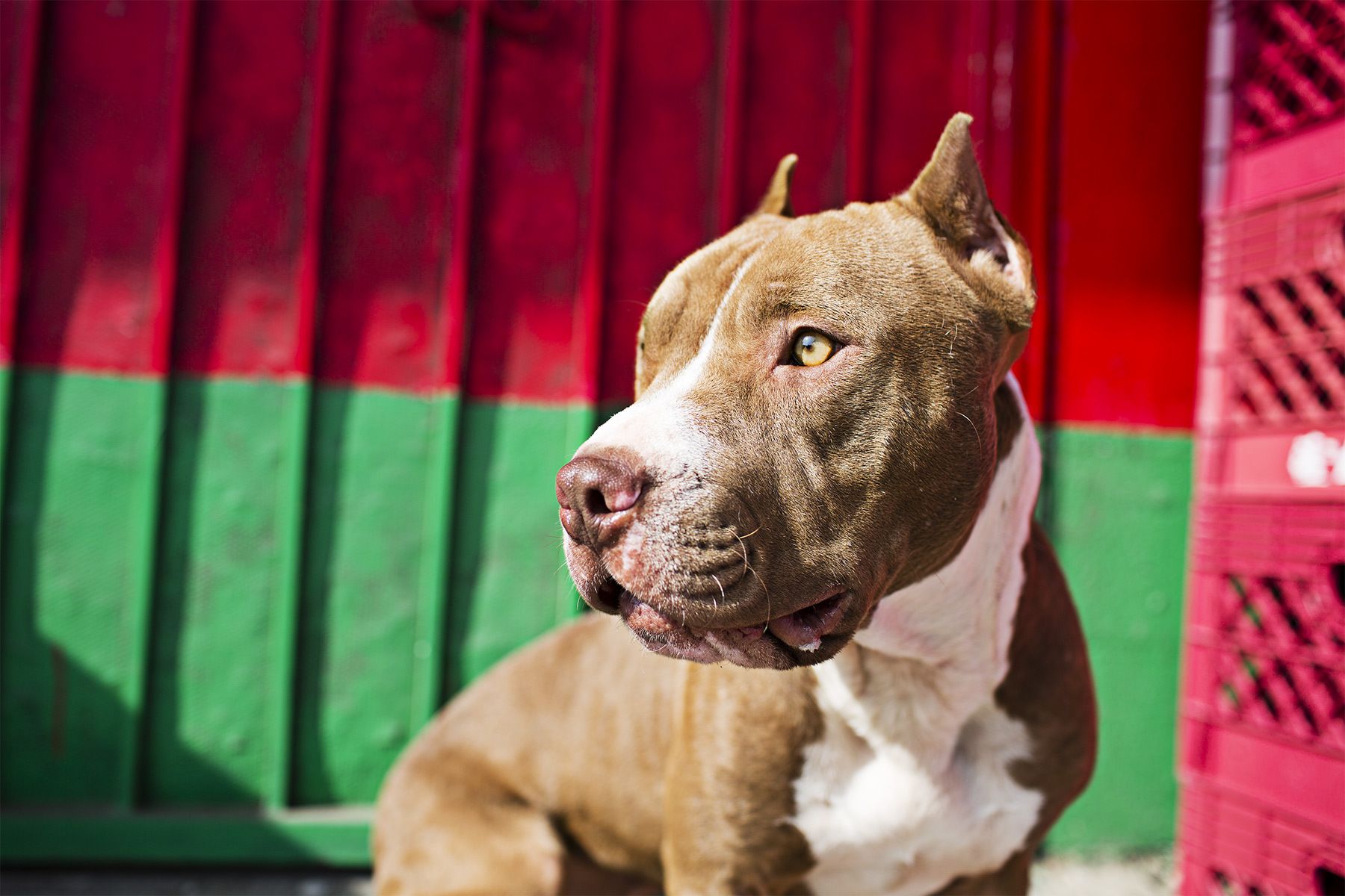 1dhein_20121126_165_lb