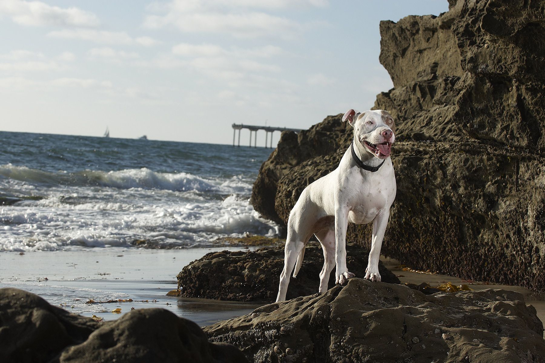 1dhein_20100811_048_lb