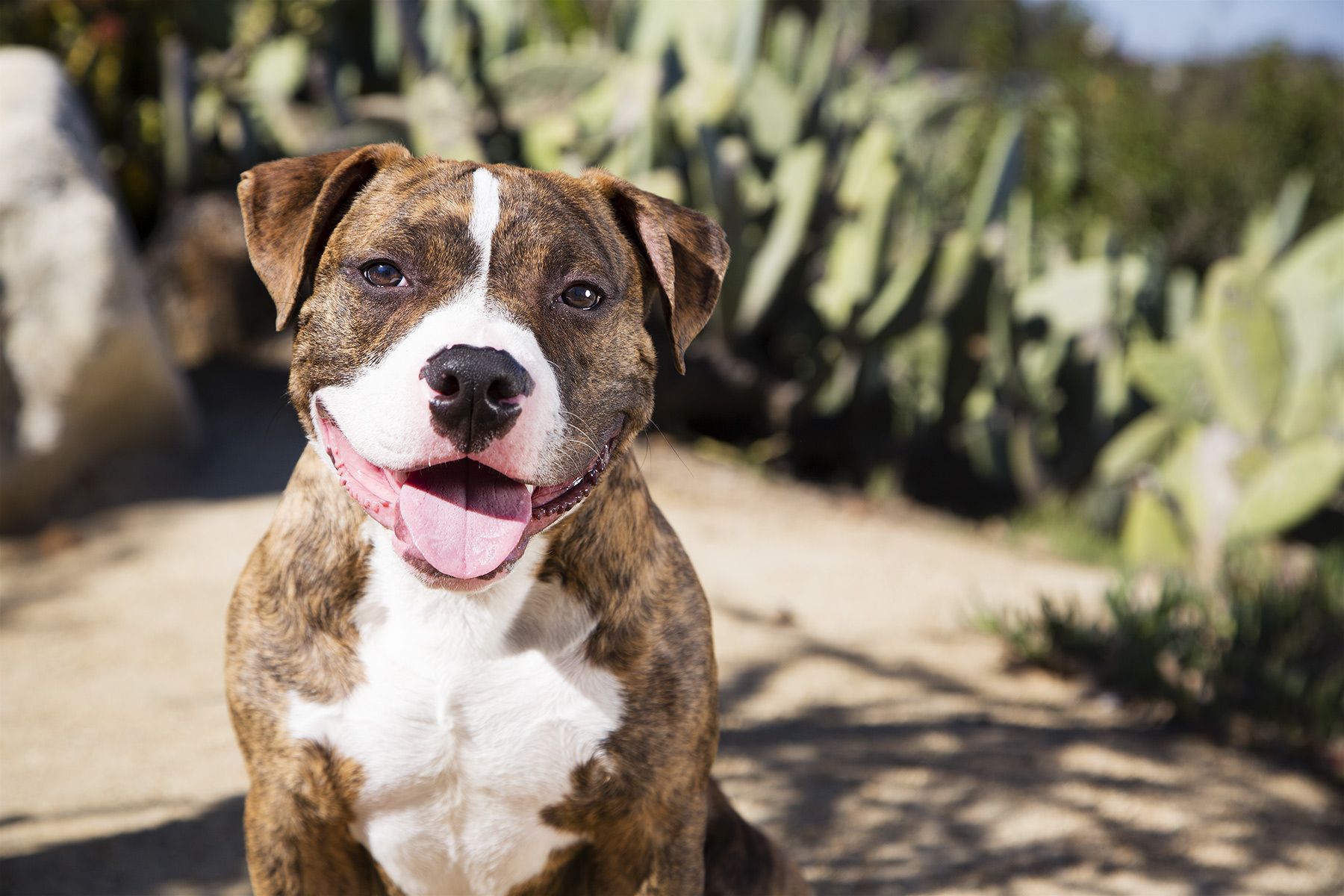 1dhein_20130310_120_lb