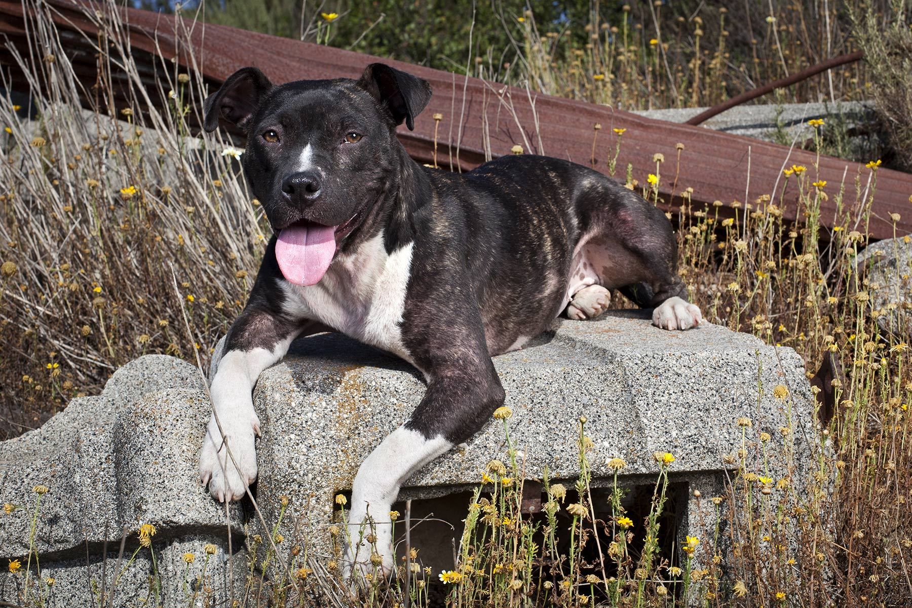 1dhein_20120513_072_lb