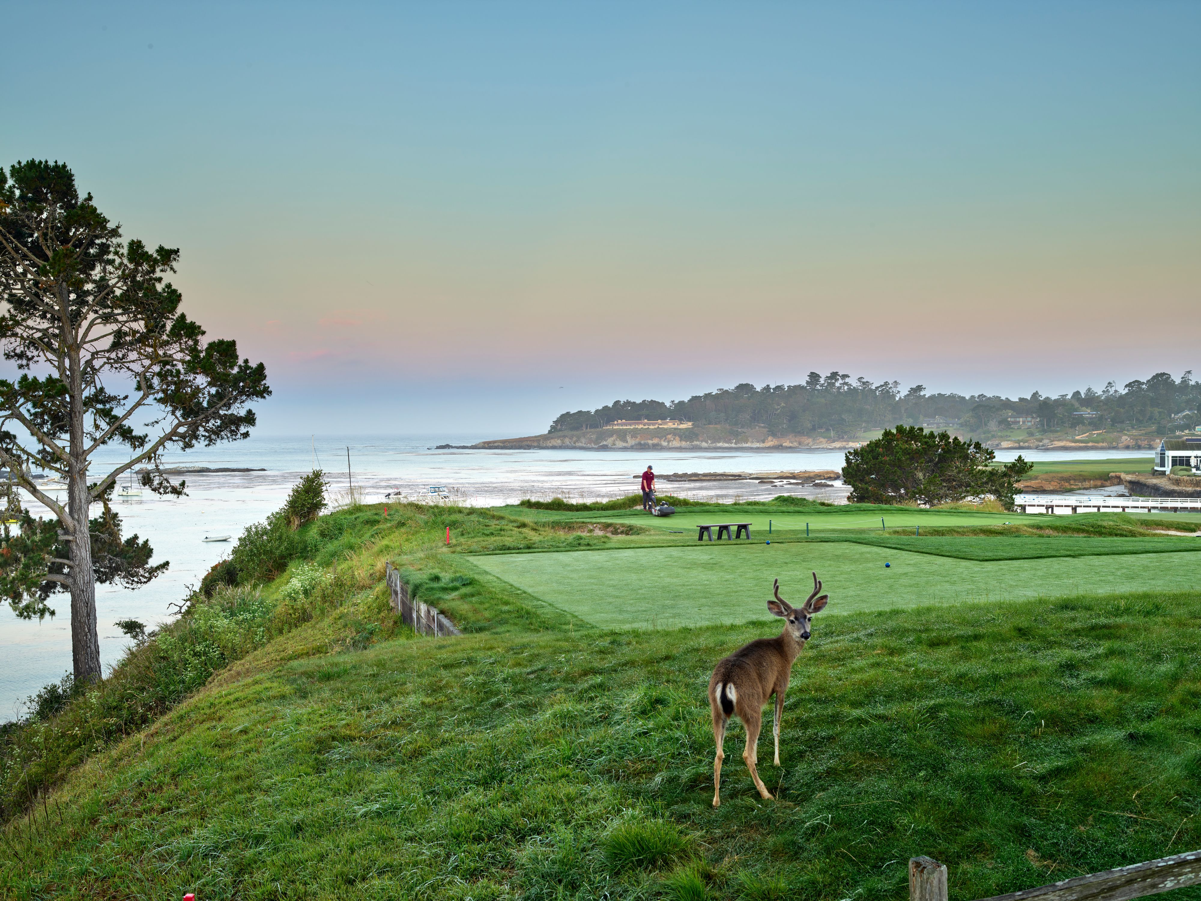 CM21_4980s_Pebble_Beach_Golf_2268.jpg