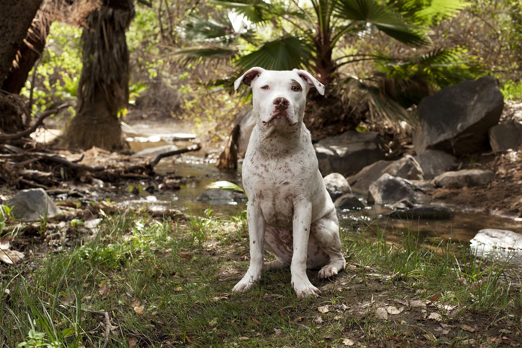 1dhein_20120305_259__lb