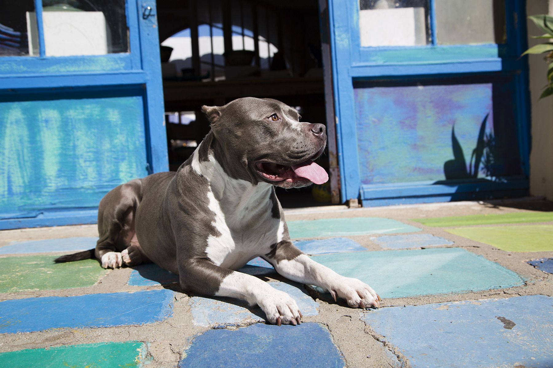 1dhein_20130310_041_lb