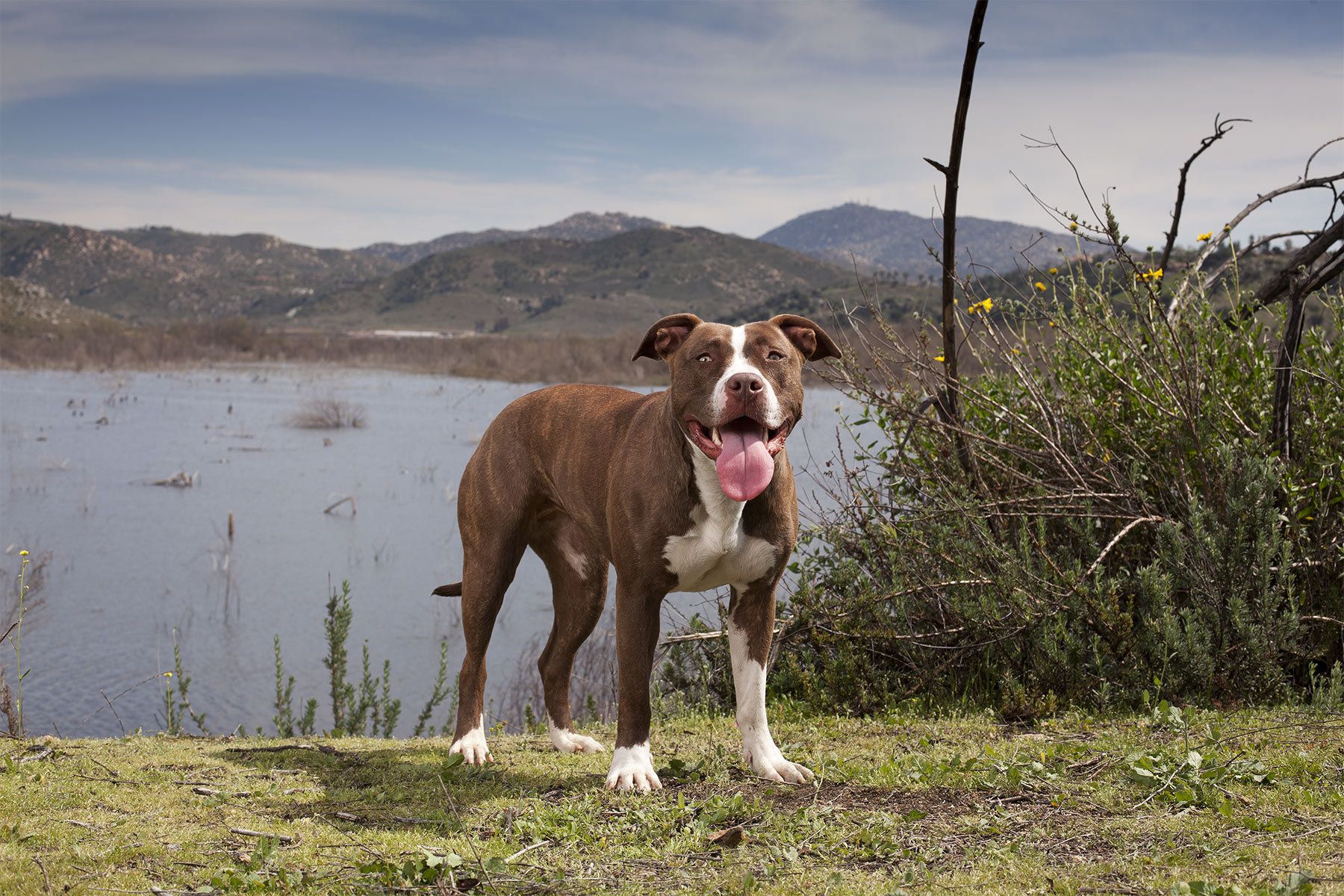 1dhein_20120305_297_lb