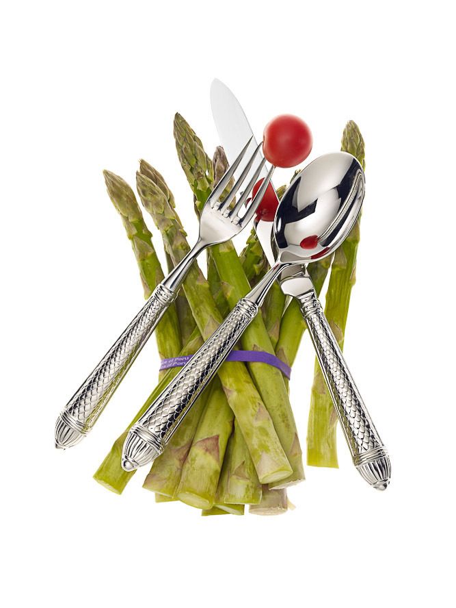 1raffaello_stainless__asparagus_b